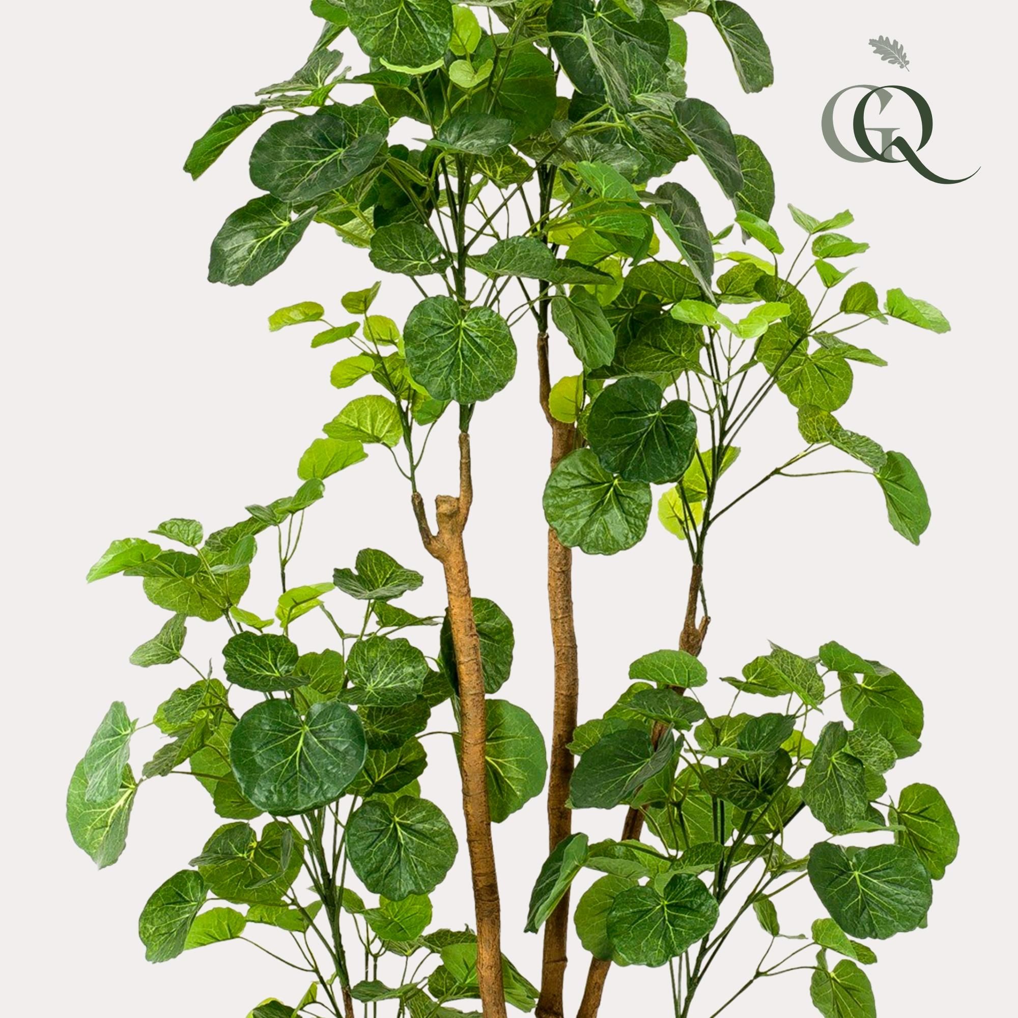 Kunstpflanze Polyscias Aralia 160 cm