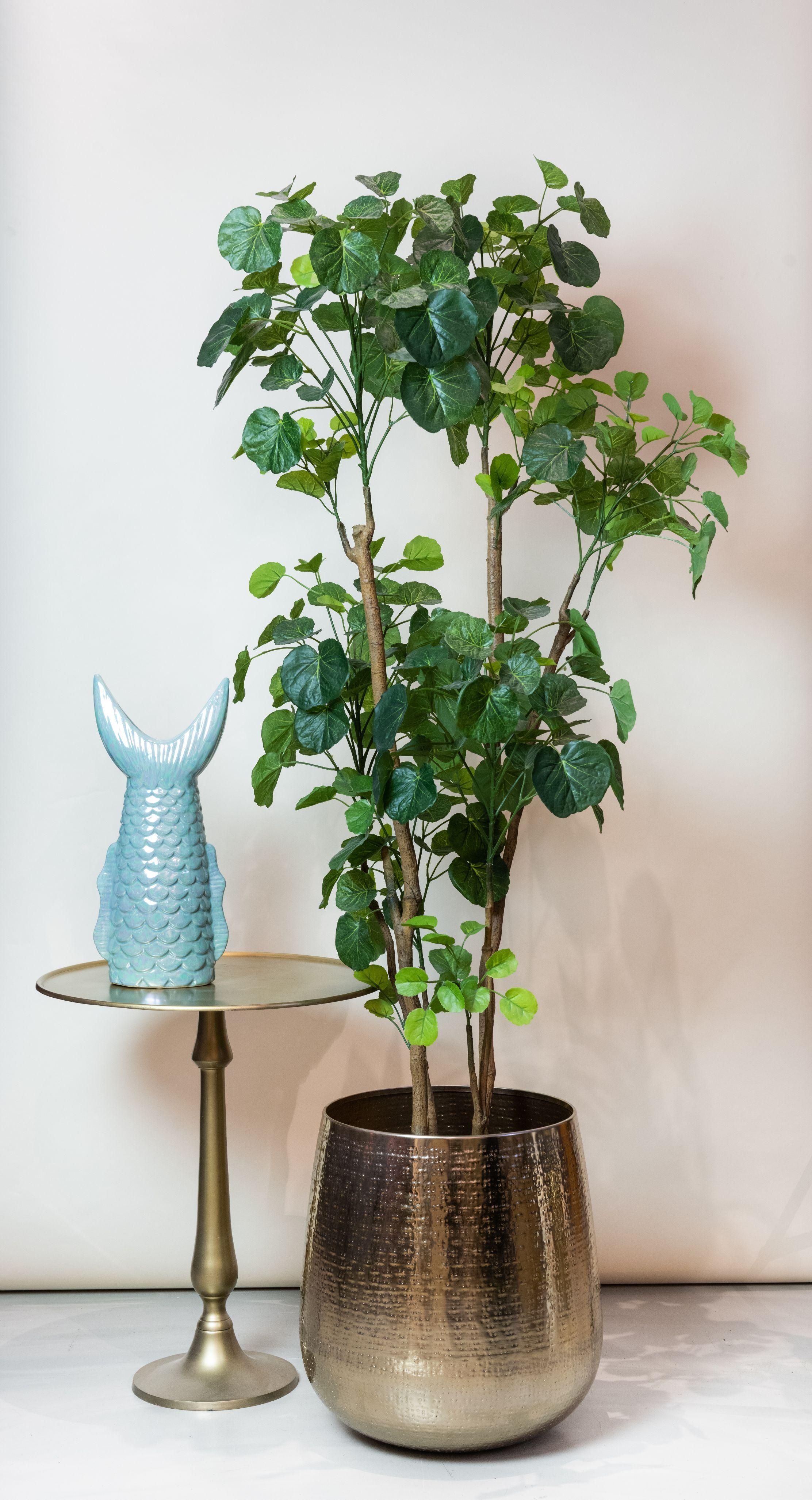 Kunstpflanze Polyscias Aralia 160 cm