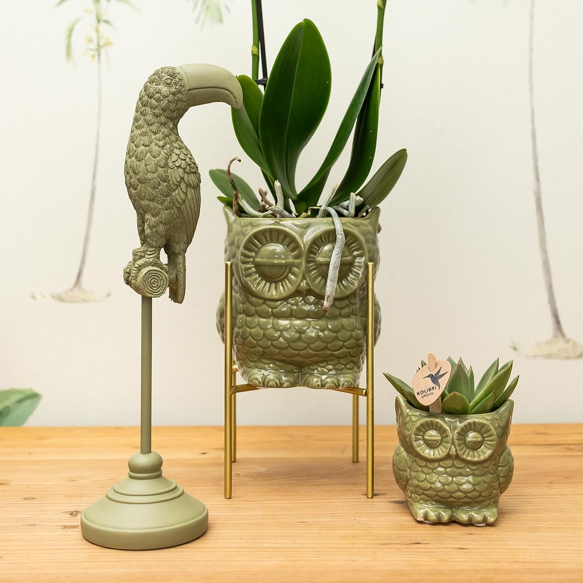 Deko-Skulptur Tukan Grün