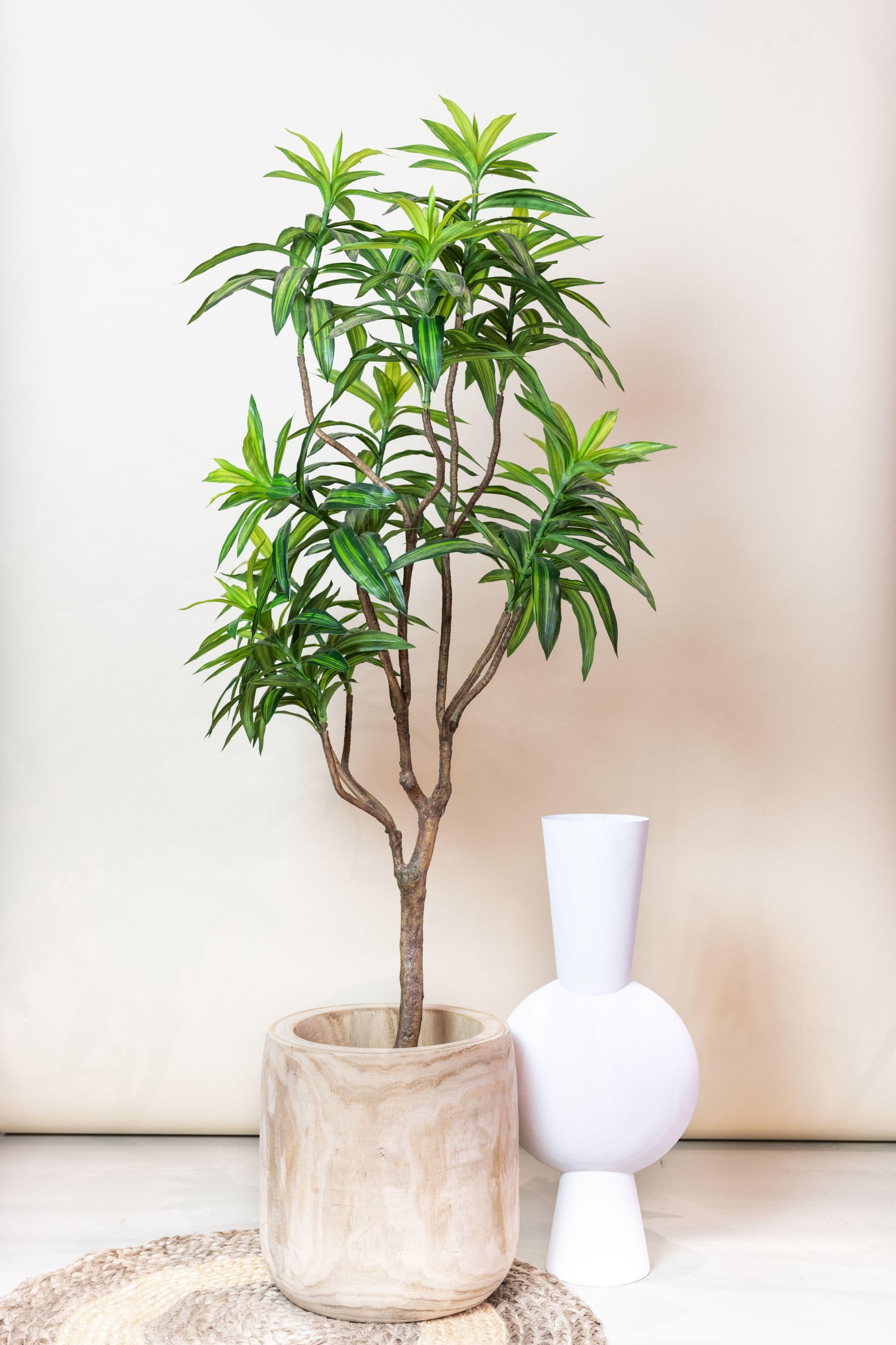 Künstlicher Dracaena Drachenbaum mit natürlichen Blättern