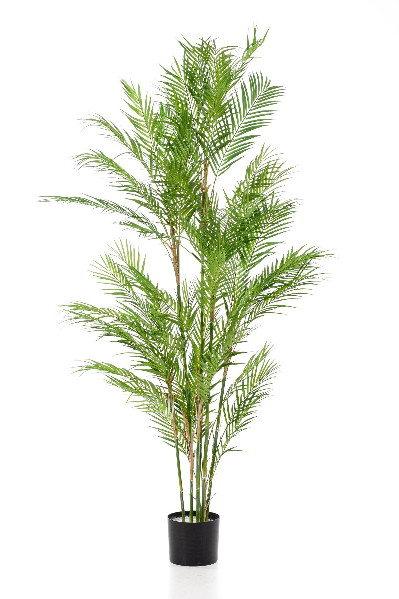 Bergpalme Künstliche Chamaedorea Elegans 180 cm