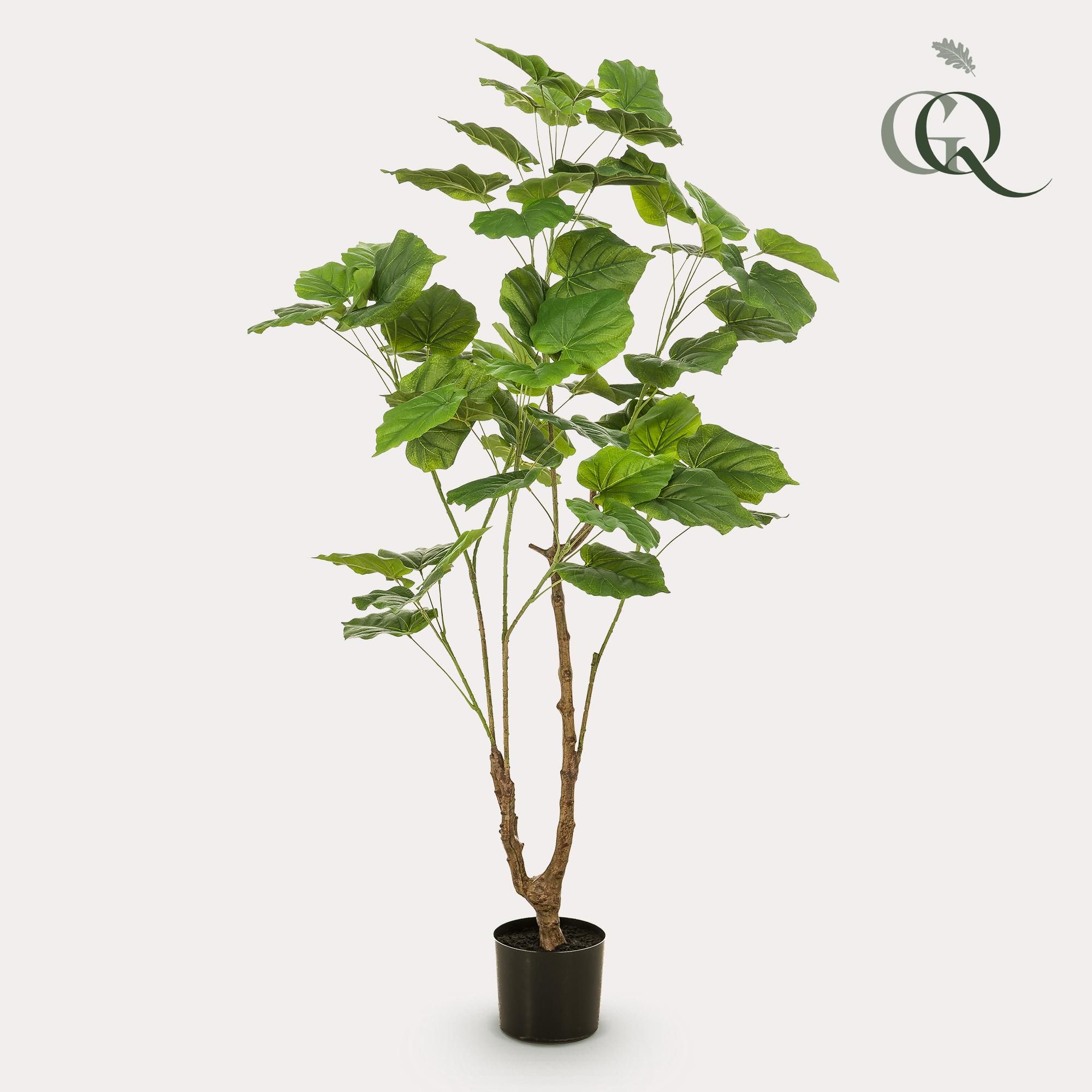 Kunstpflanze Afrikanische Feige Ficus Umbellata 125cm