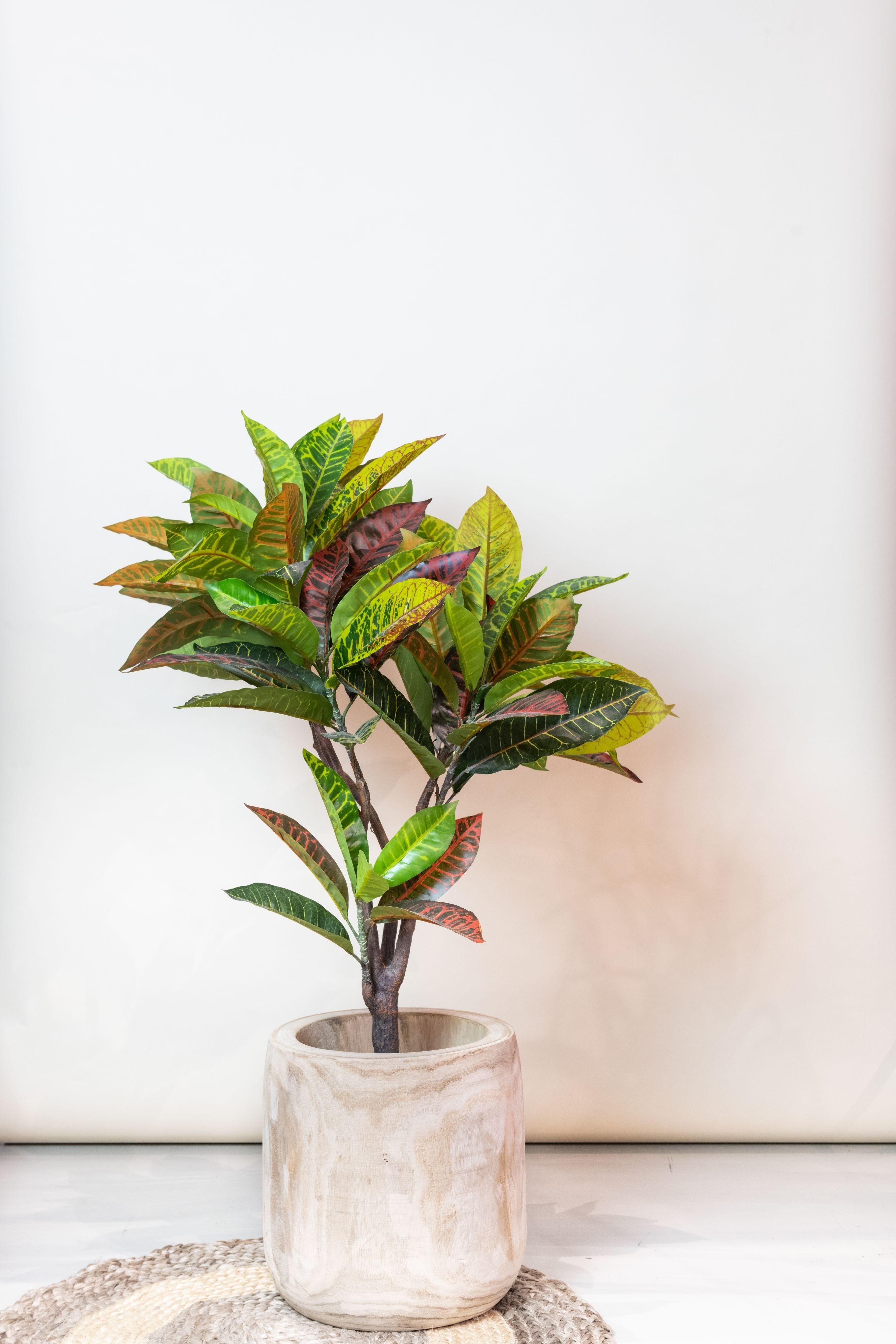 Croton Codiaeum Kunstpflanze mit bunten Blättern