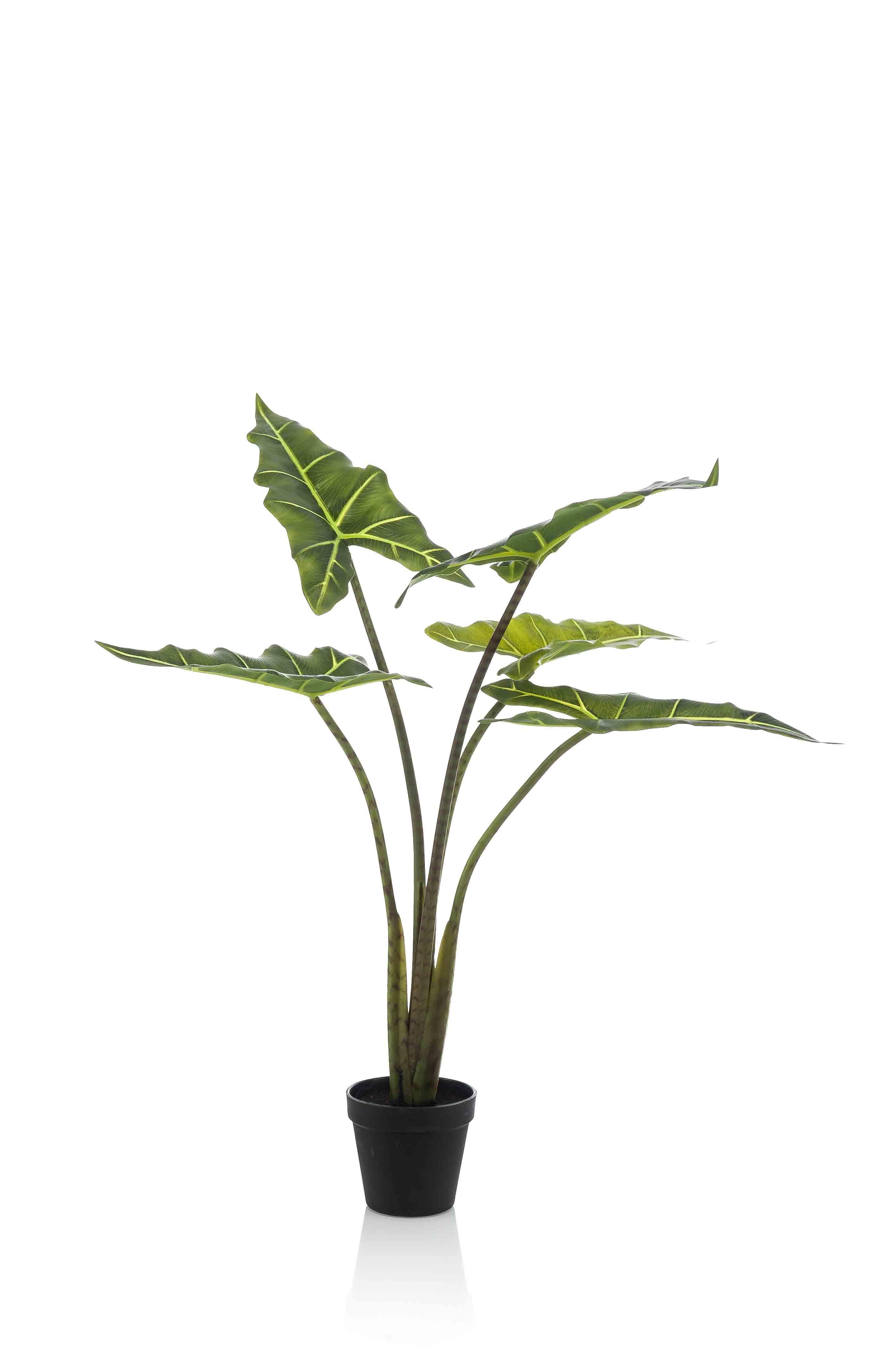 Kunstpflanze Alocasia Frydek 80 cm