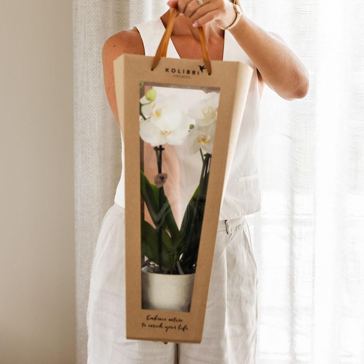 Geschenktasche für Orchidee – Mit dekorativem Topf 9cm