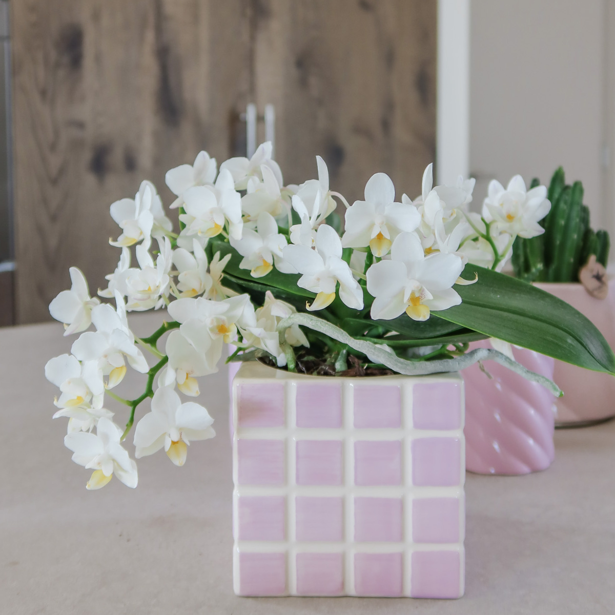 Ziertopf – Pink – Ø 9 cm