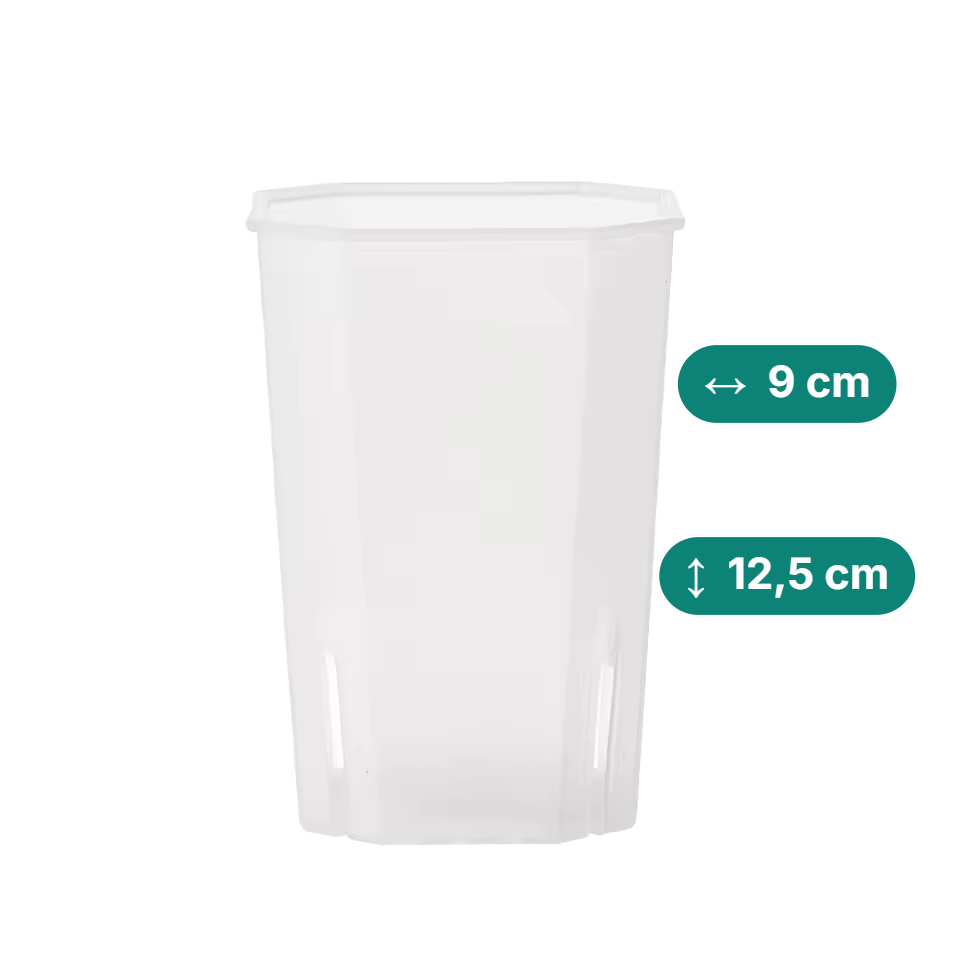 Eckige & hohe Aroid Töpfe – Platzsparend & Transparent (Topfdurchmesser in cm:9, Höhe in cm:12,5)