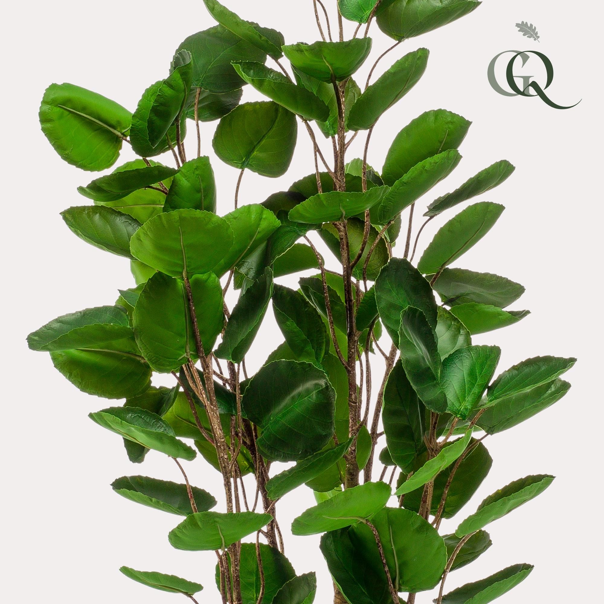 Kunstpflanze Polyscias Aralia 105 cm