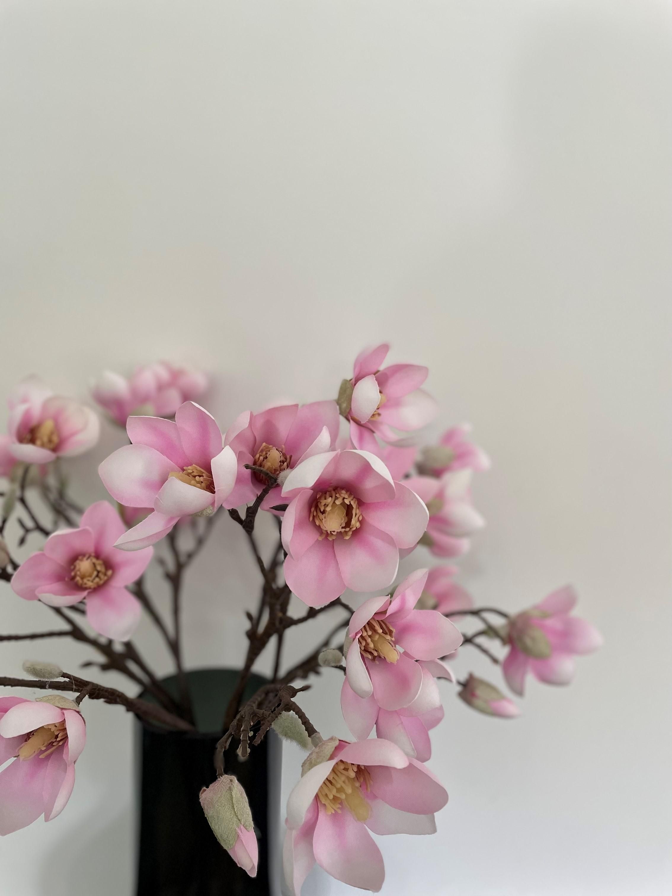 Künstliche Magnolienblumen | Rosa | 8 Stiele | 65cm