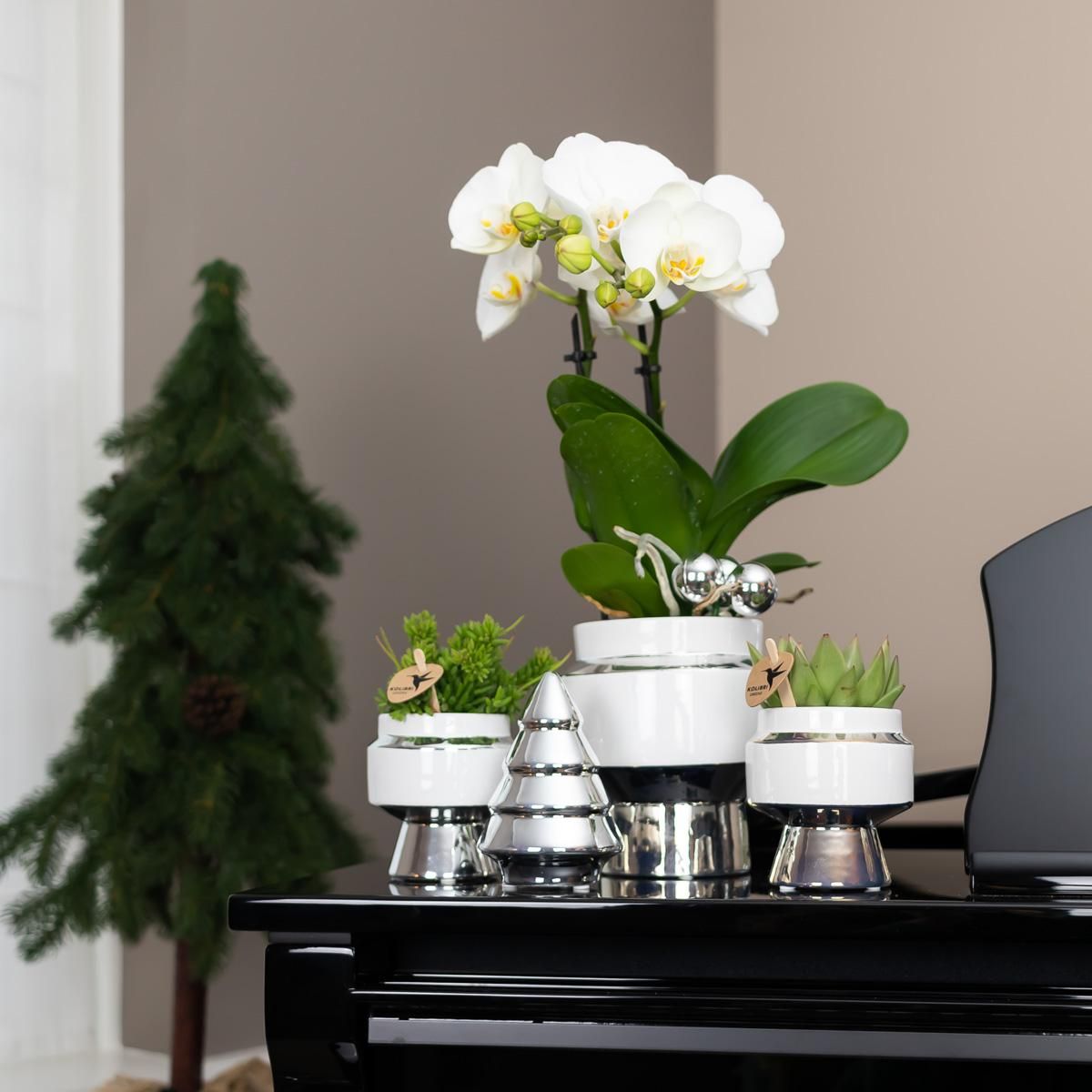 Le Chic Keramik Blumentopf mit silbernen Details