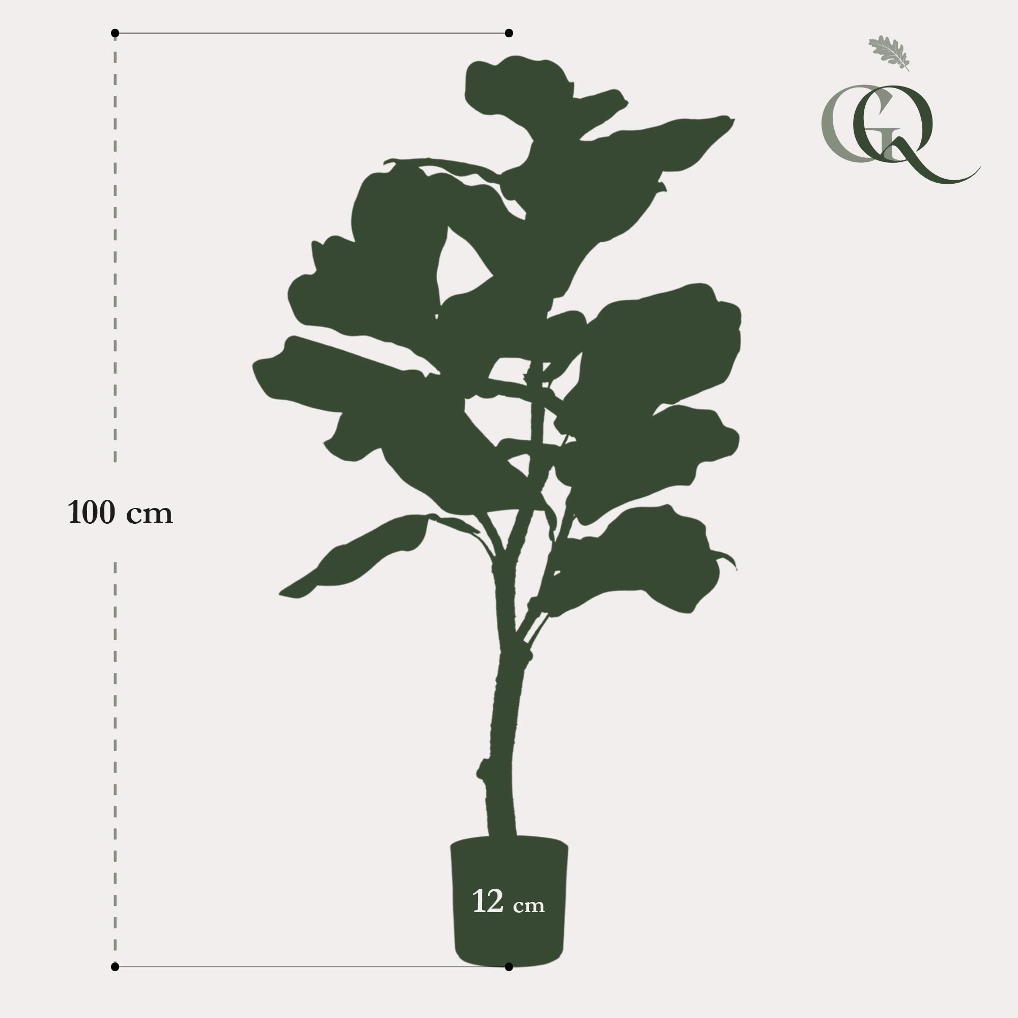 Kunstpflanze Ficus Lyrata Tabakspflanze
