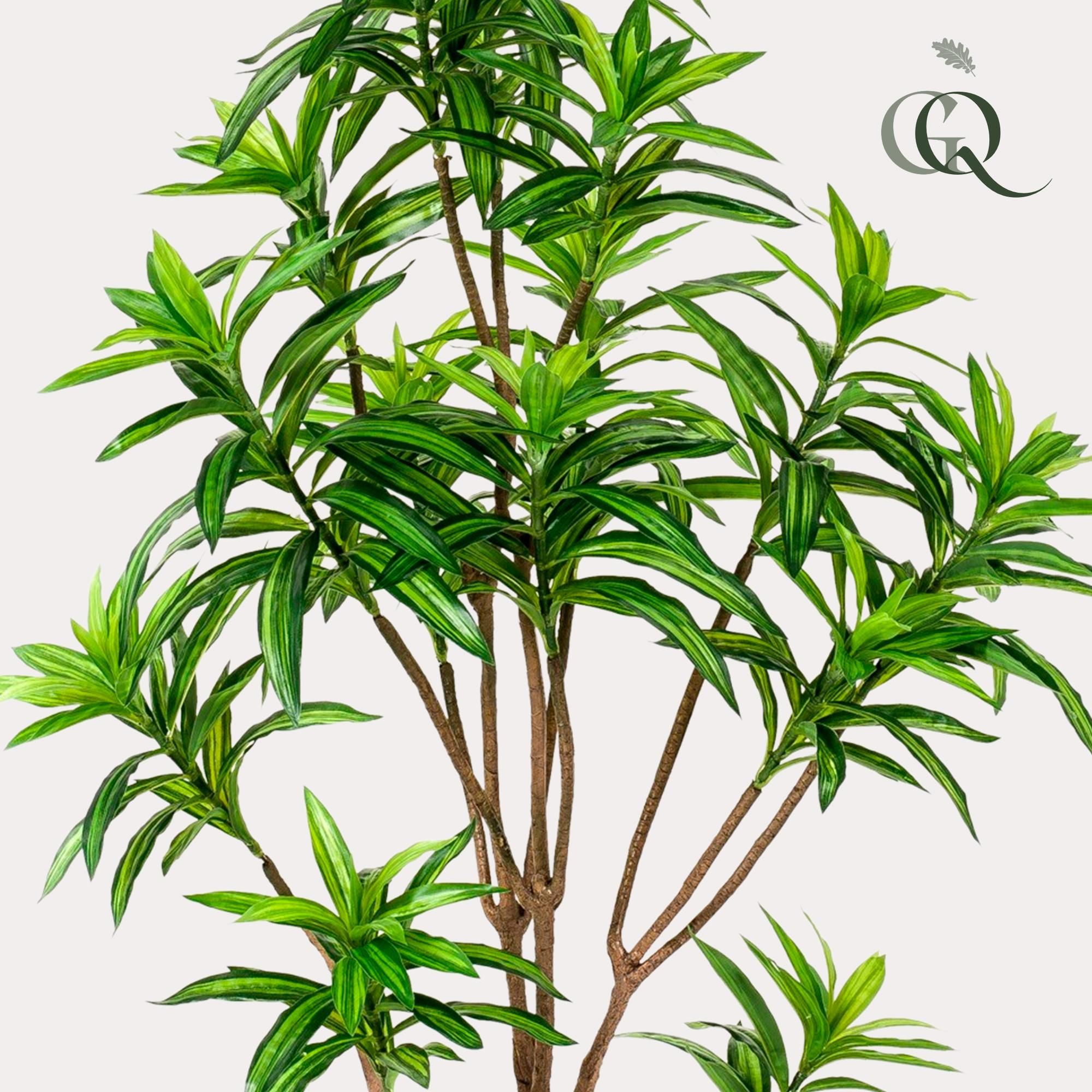 Künstlicher Dracaena Drachenbaum mit natürlichen Blättern
