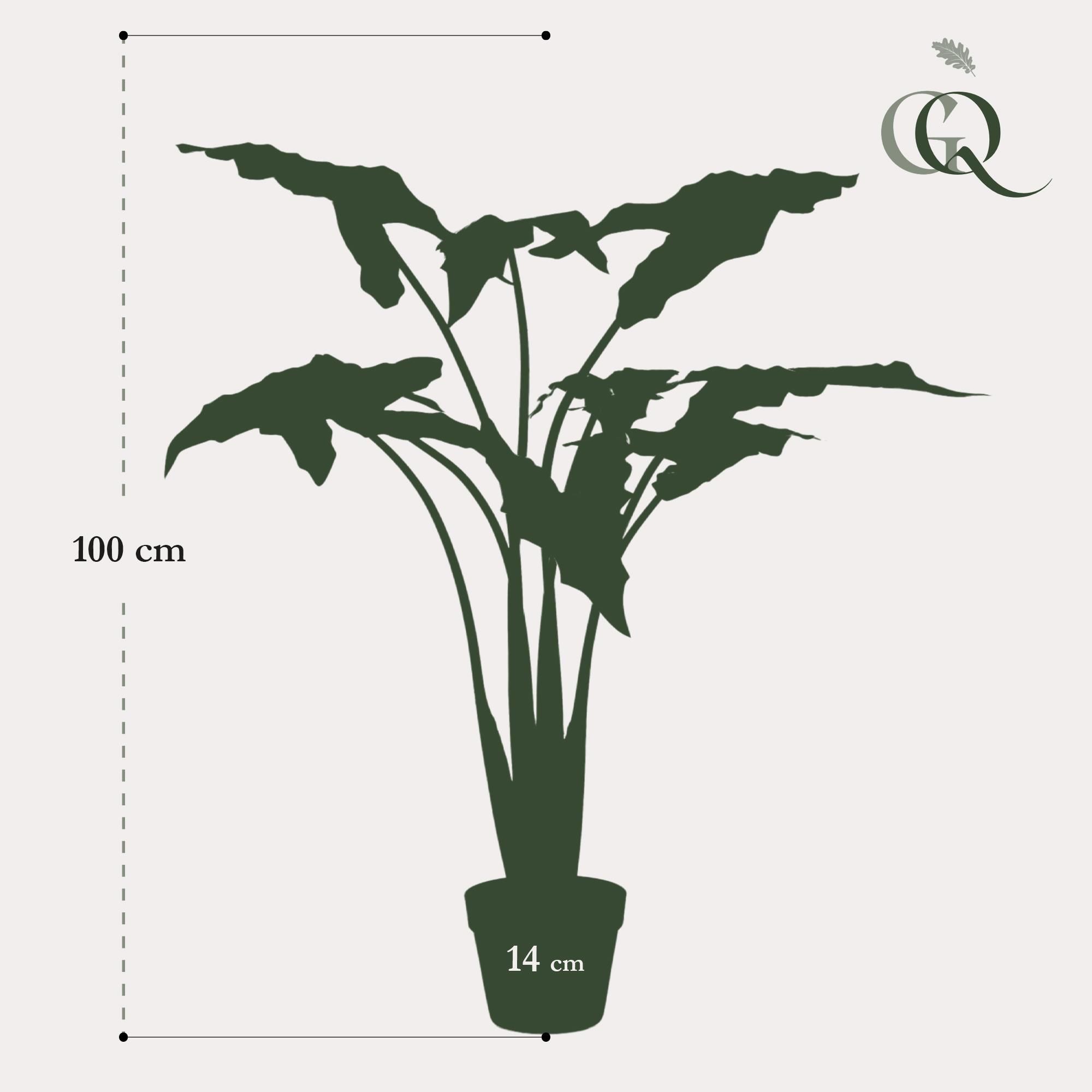 Kunstpflanze Alocasia Frydek Olifantsoor