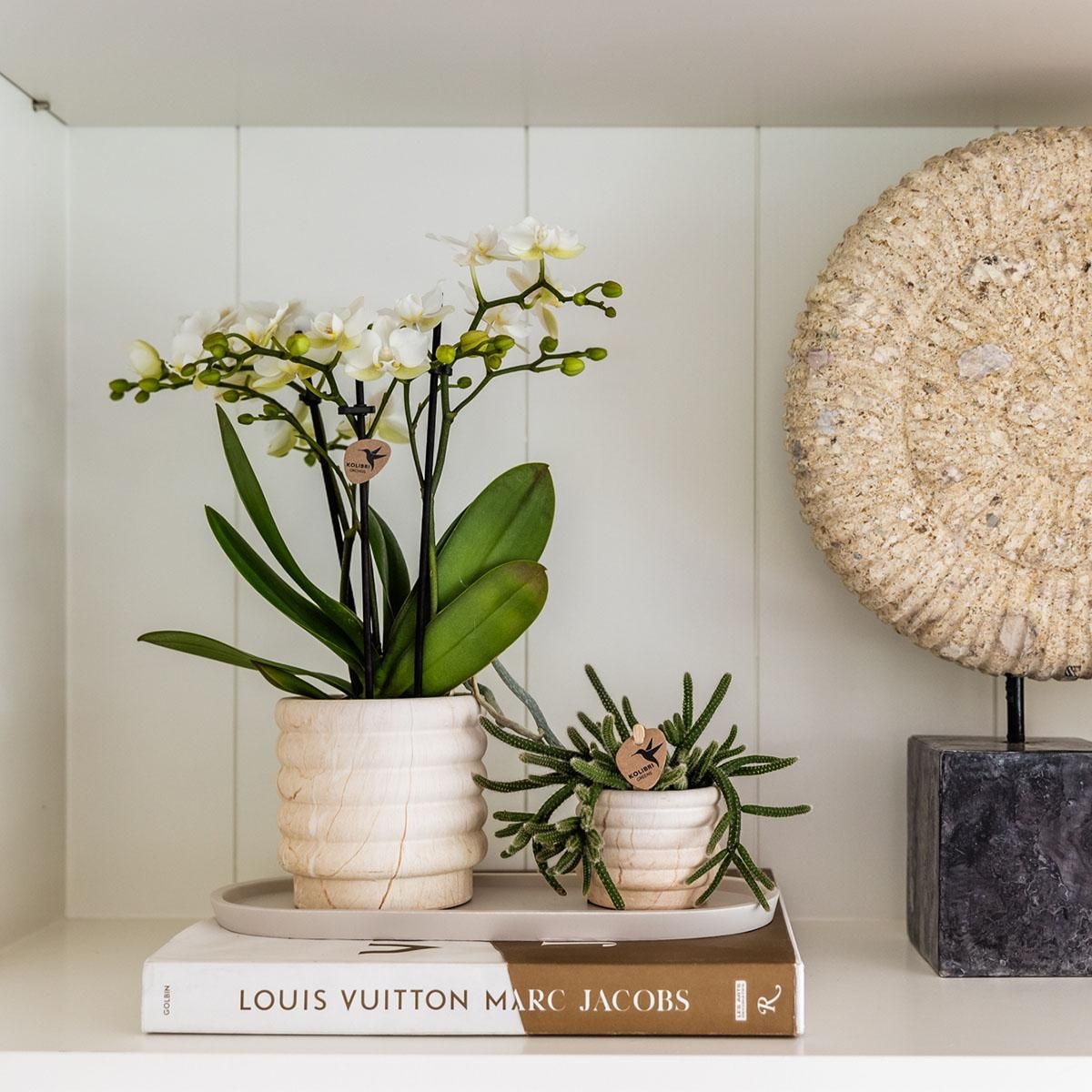 Marmor-Topf – Light – Ø6cm