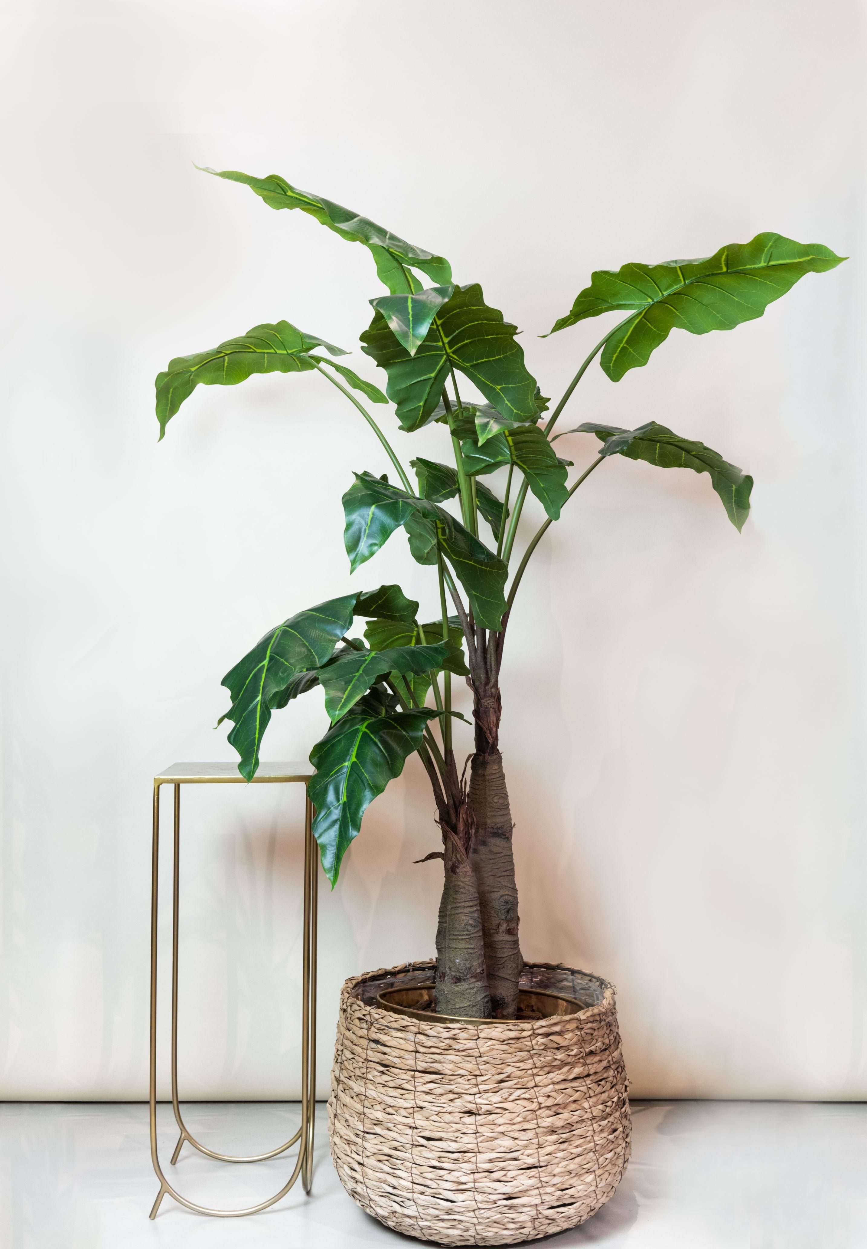 Kunst-Alocasia Pflanze 180 cm