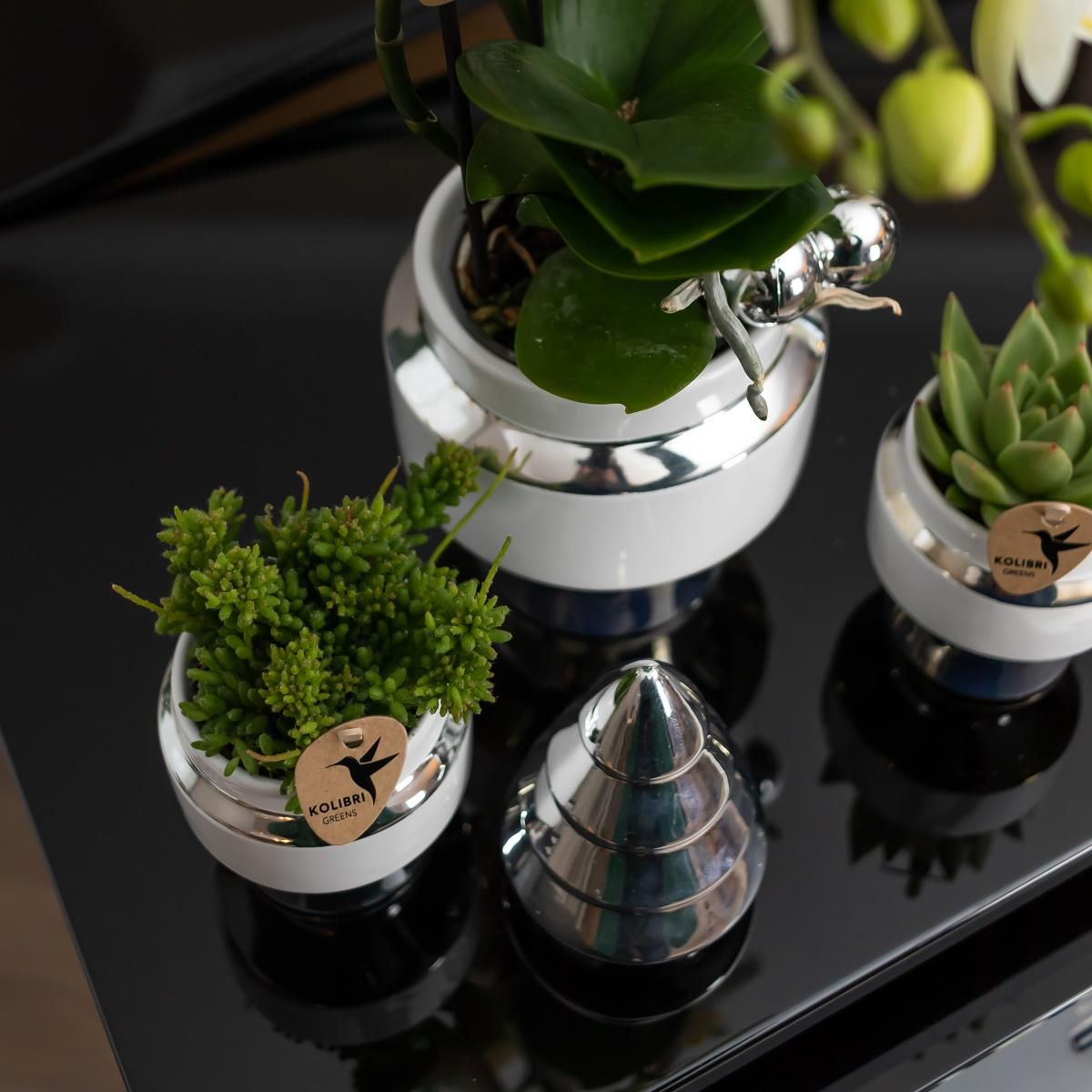 Le Chic Keramik Blumentopf mit silbernen Details