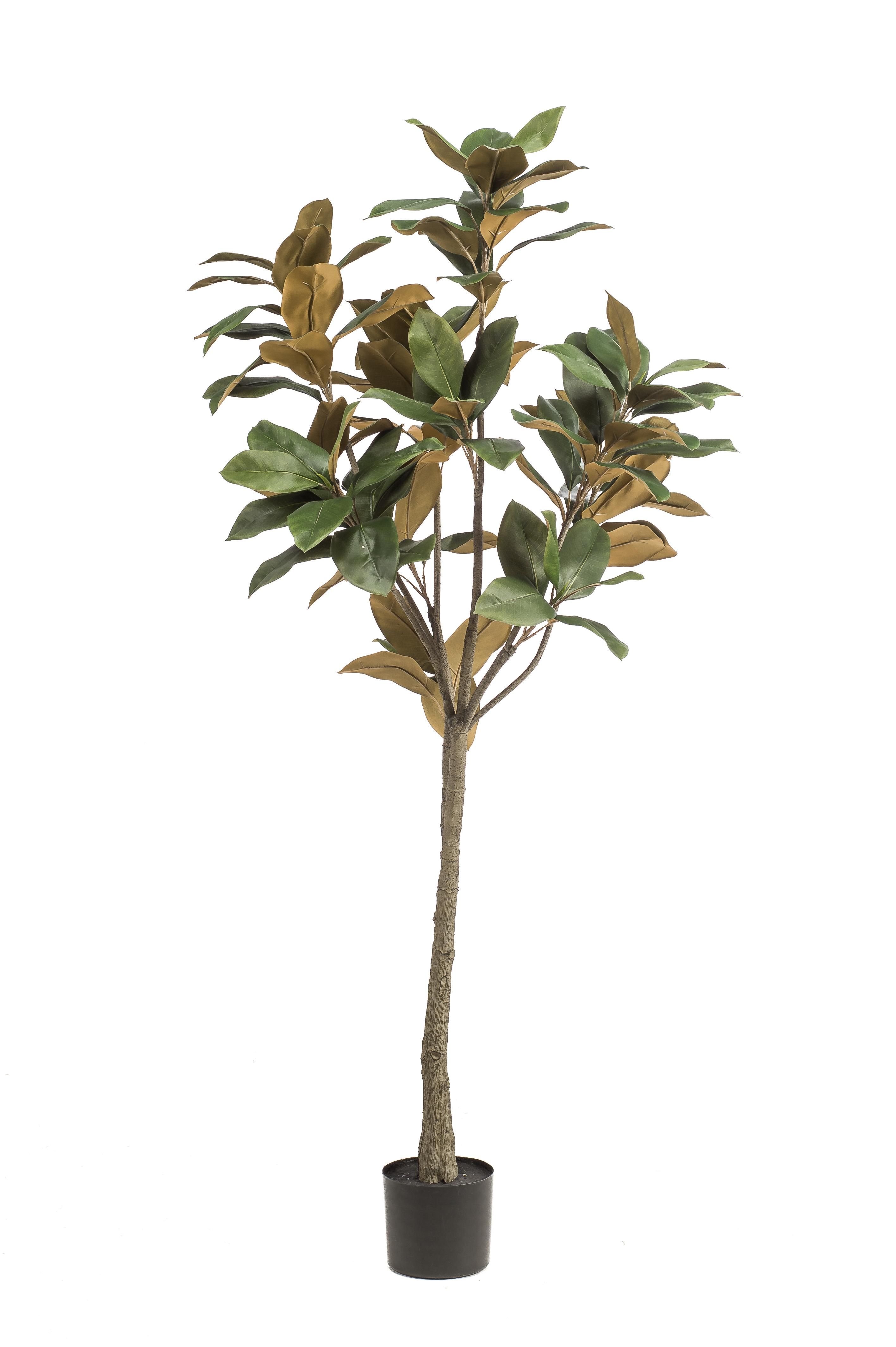 Kunstpflanze Magnolia Grandiflora