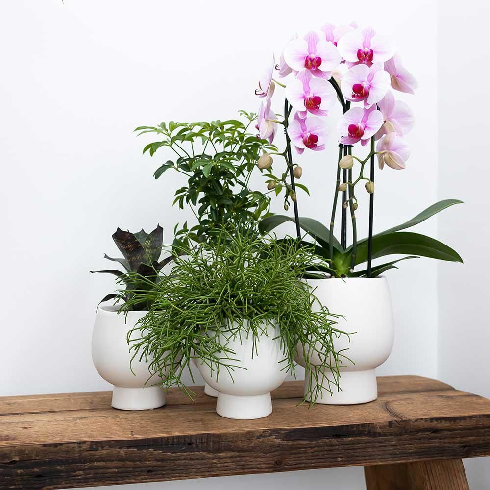 Weißer Keramik-Blumentopf Scandic