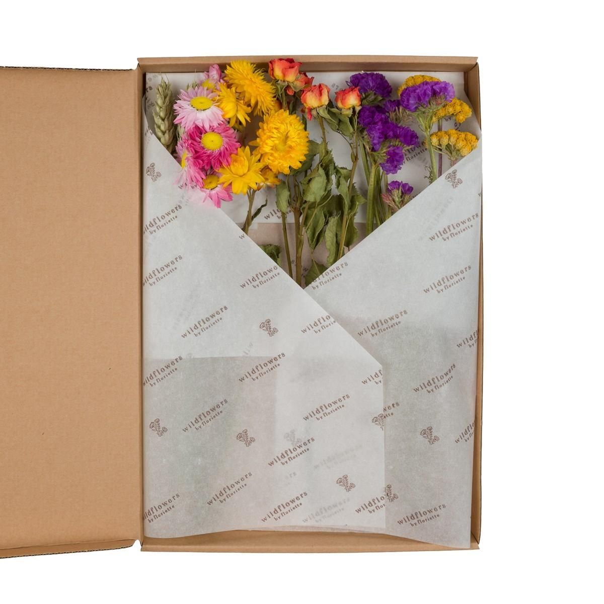 Trockenblumen | Multi Naturfarben | 5 Stiel | Dekoration 30cm