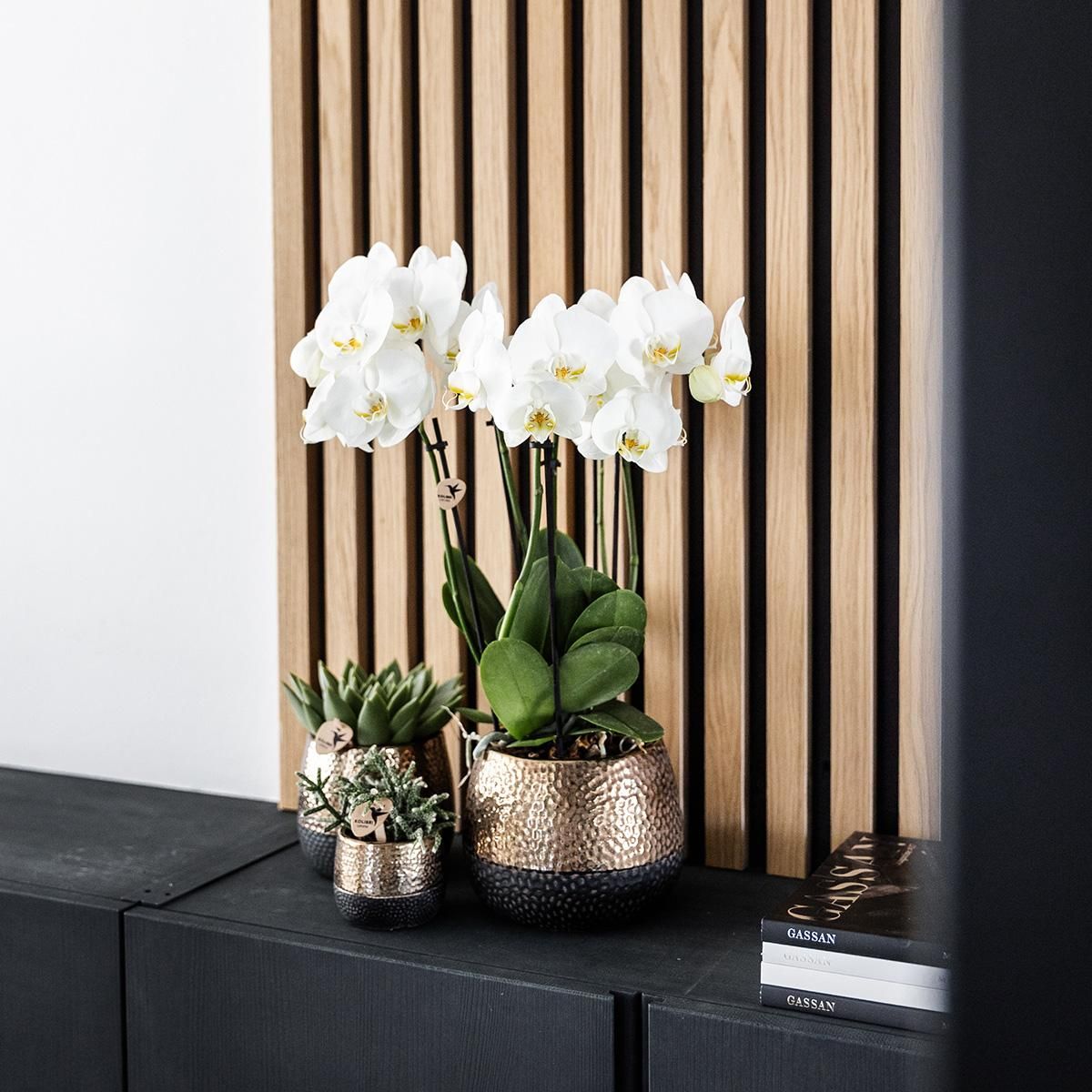 Elite Keramik Blumentopf Kupfer Ø12cm