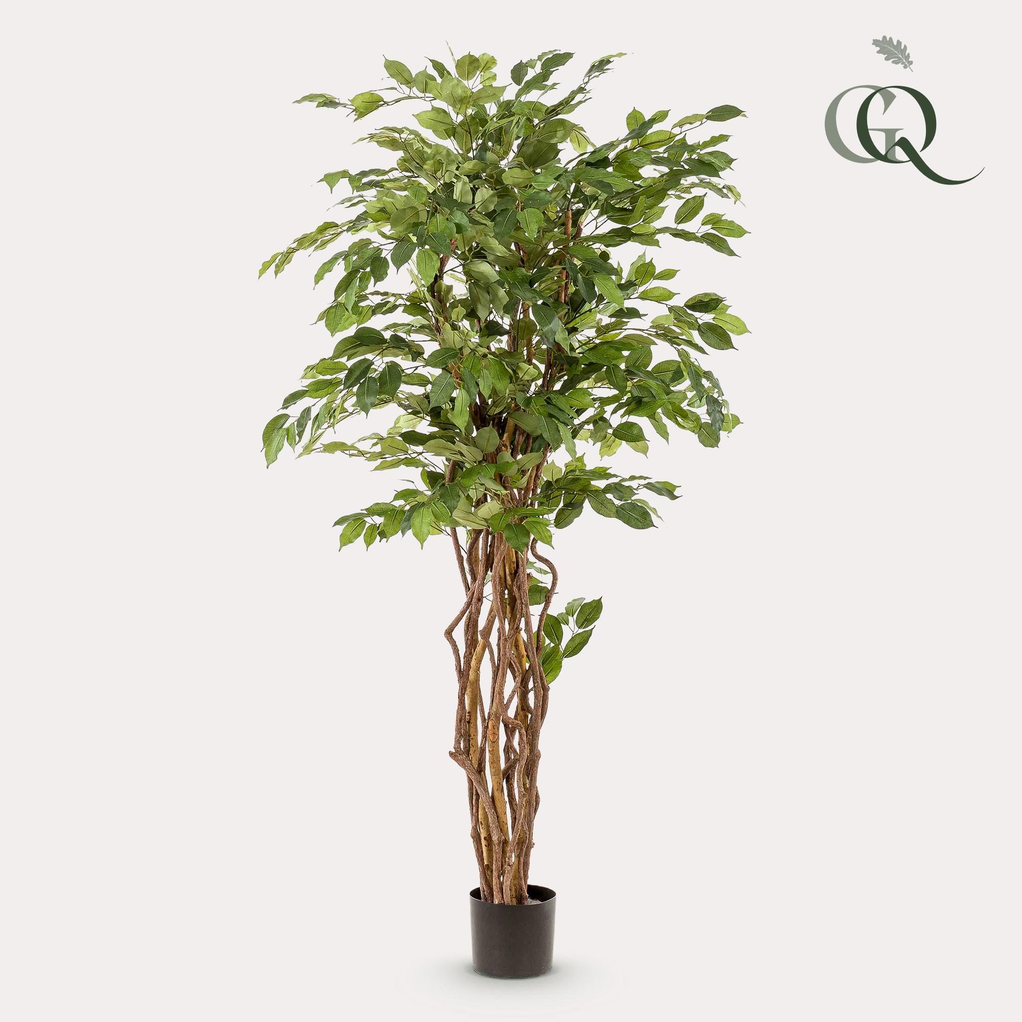 Kunstpflanze Ficus Liana – Kunstblume – 170cm