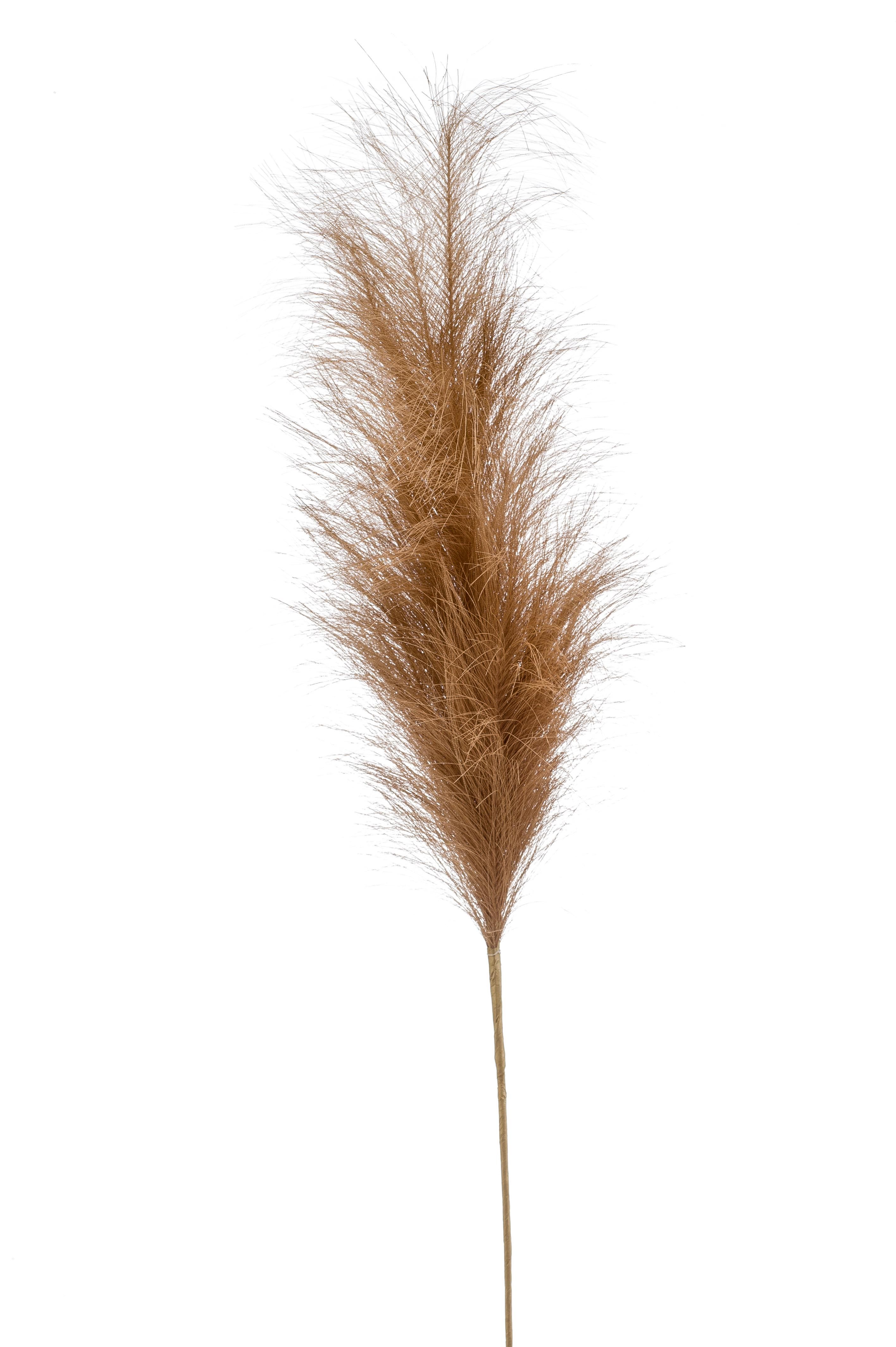 Künstliche Pampas Plümen im Braun
