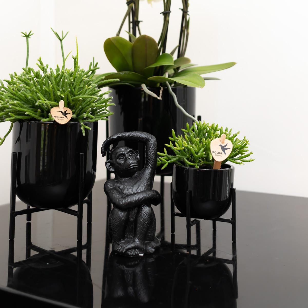 Ornament Affe sitzend in Schwarz