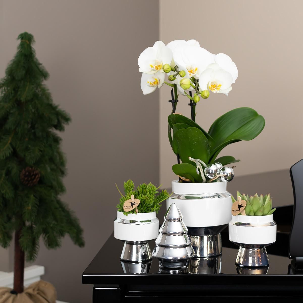 Le Chic Keramik Blumentopf mit silbernen Details