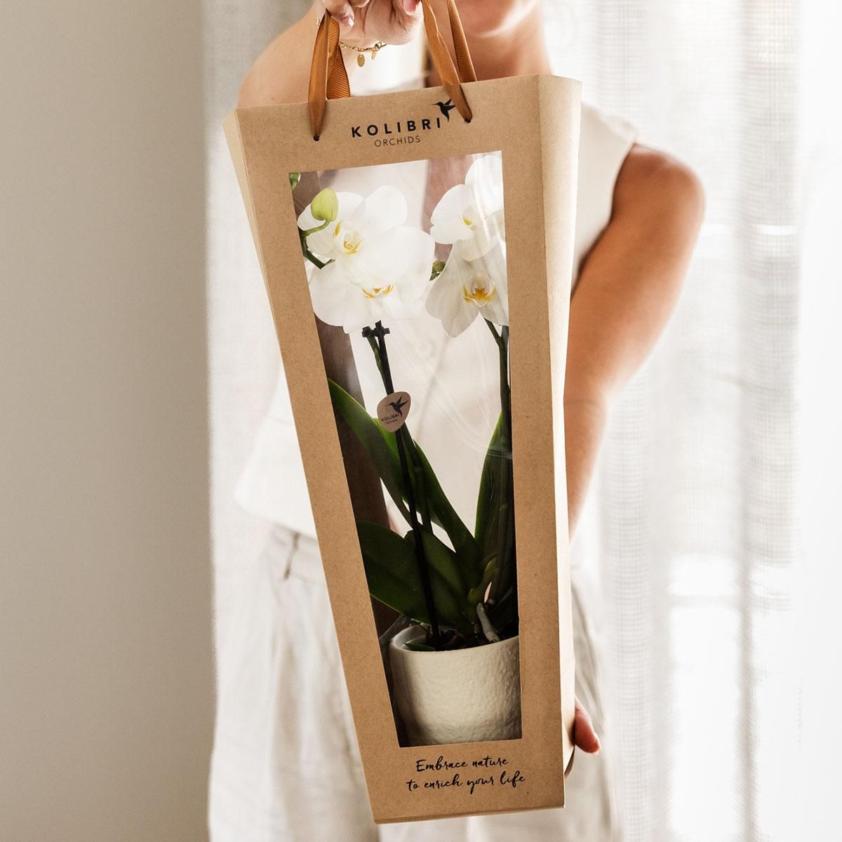 Geschenktasche für Orchidee – Mit dekorativem Topf 9cm
