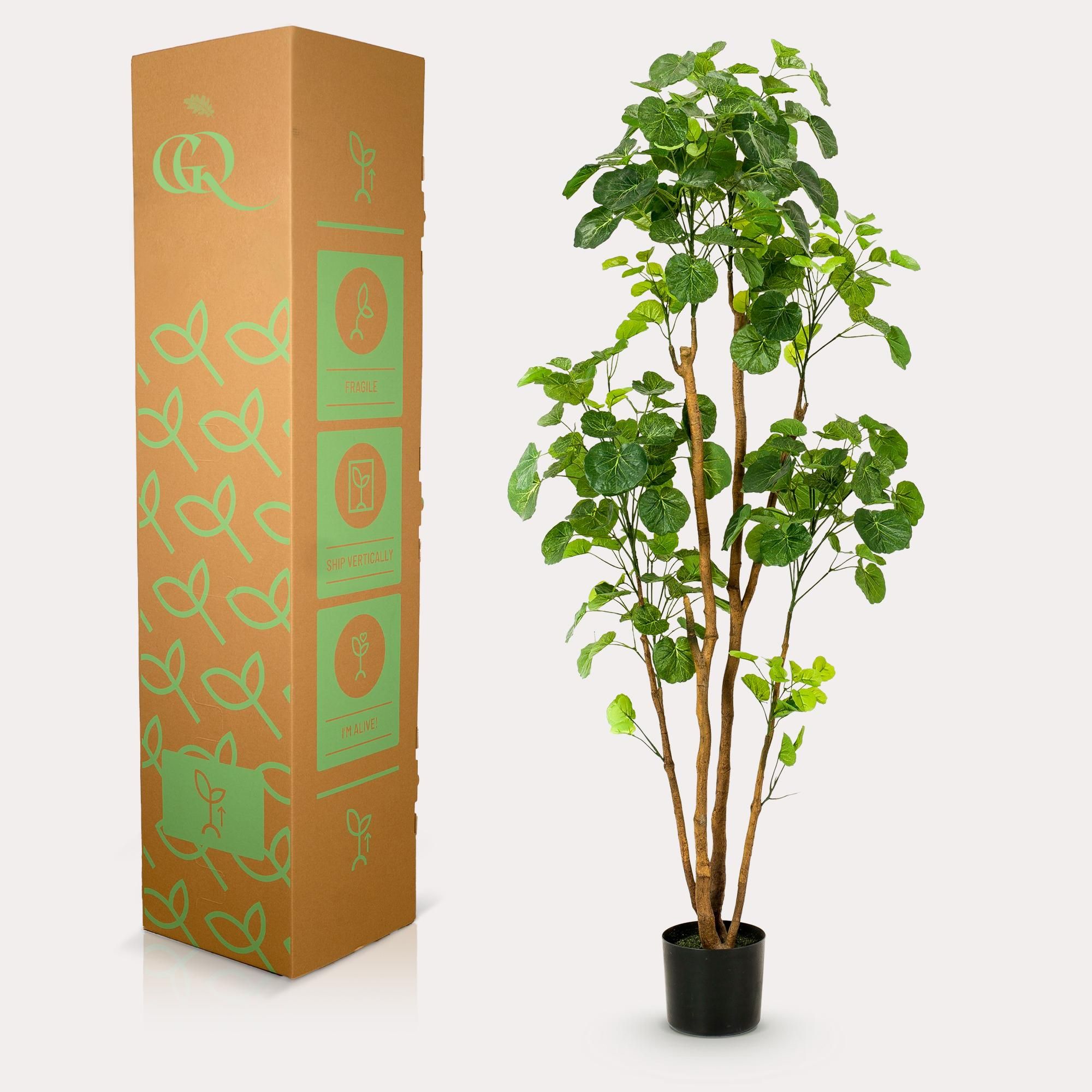 Kunstpflanze Polyscias Aralia 160 cm