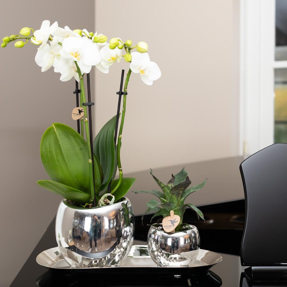 Ovale Metallschale Silber