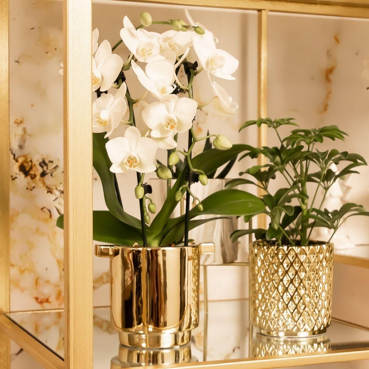 Metallischer Diamant Blumentopf Gold