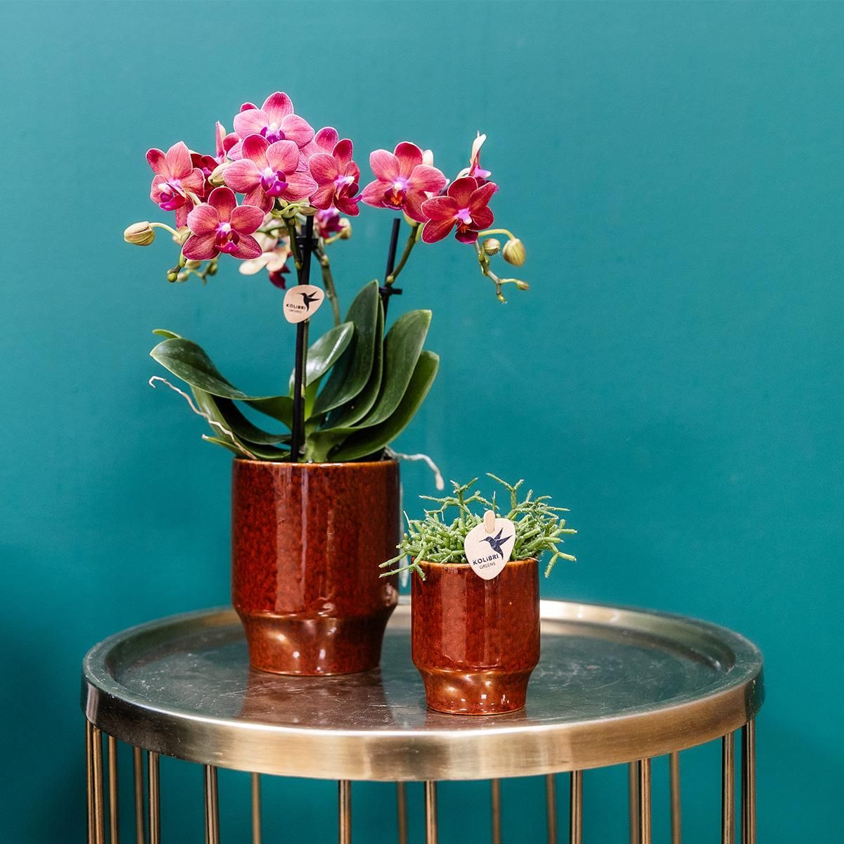 Keramik Deko Blumentopf Classy Braun