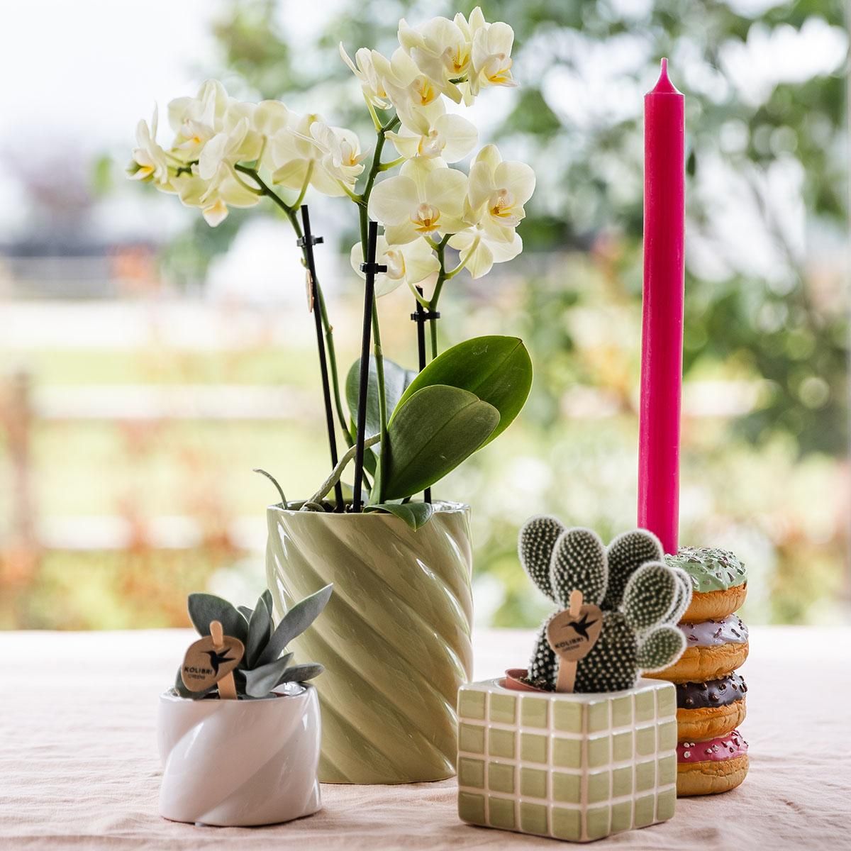 Candy Dekotopf Grün Keramik Ø9cm