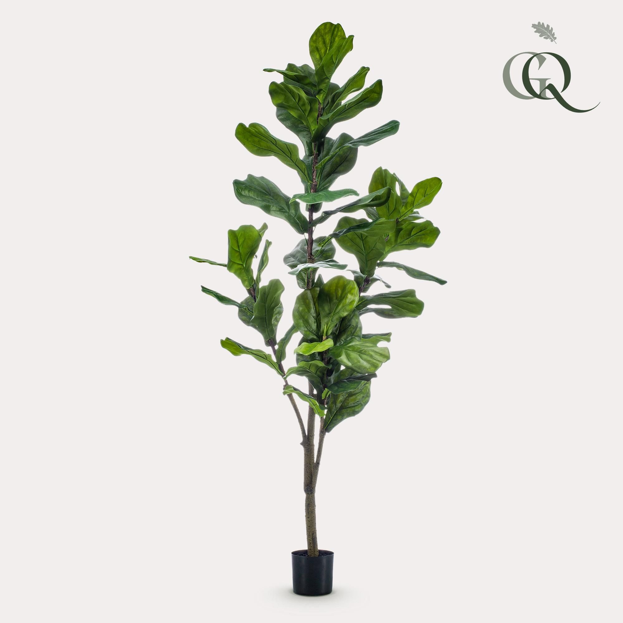 Kunstpflanze Ficus Lyrata – Tabakblattfeige – 150cm – künstliche Zimmerpflanze