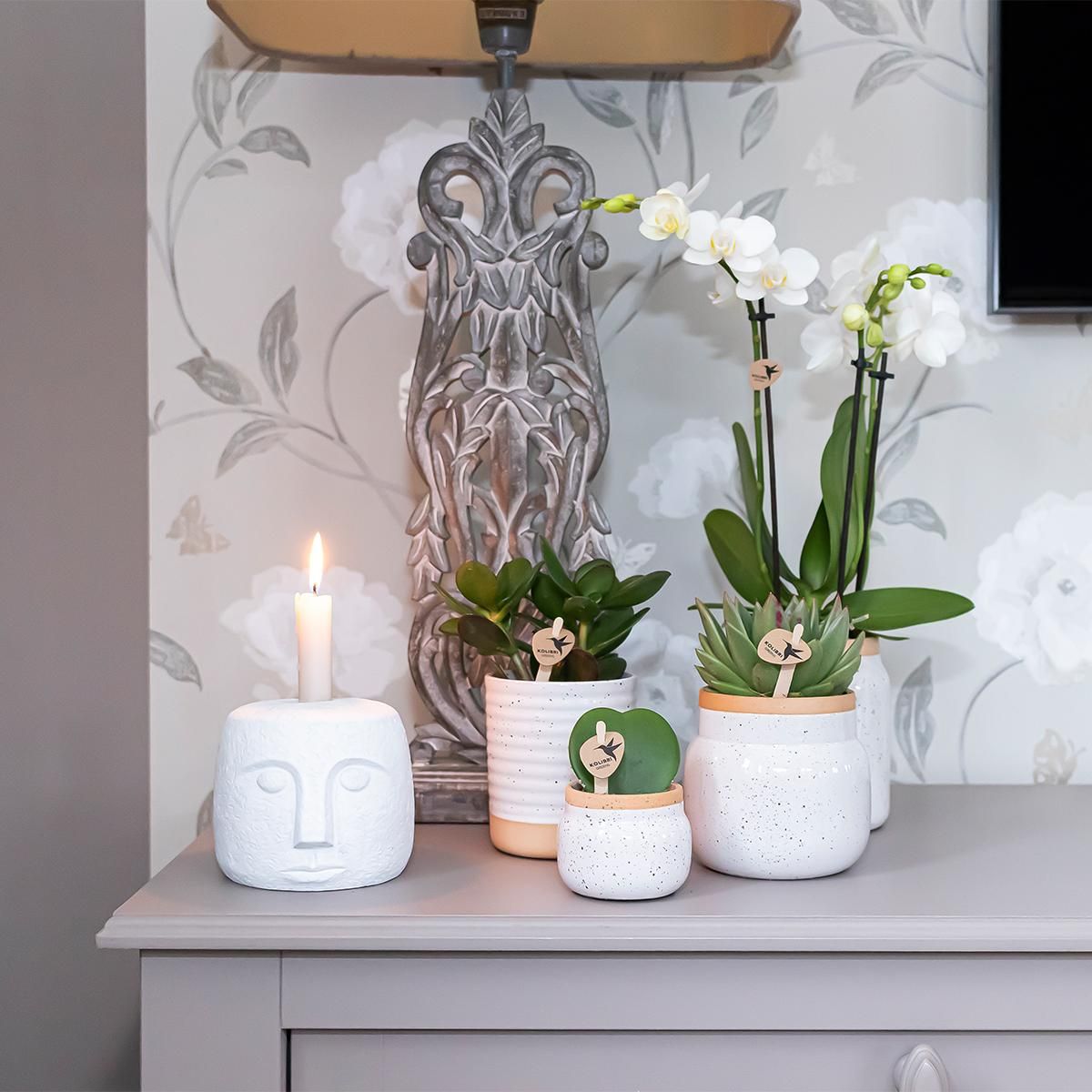 Vintage Blumentopf aus weißer Keramik mit braunem Rand