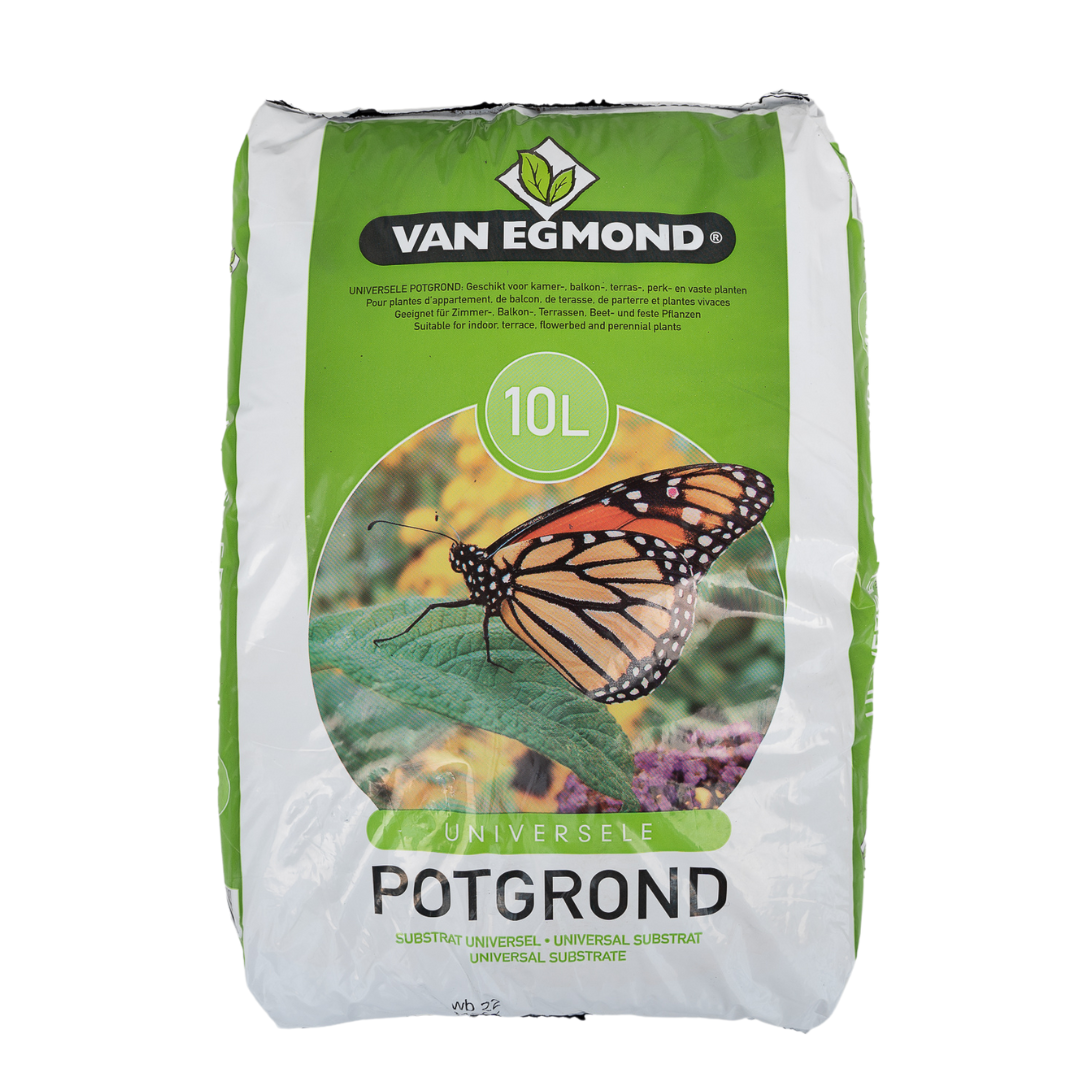 Blumenerde 10 Liter hochwertig