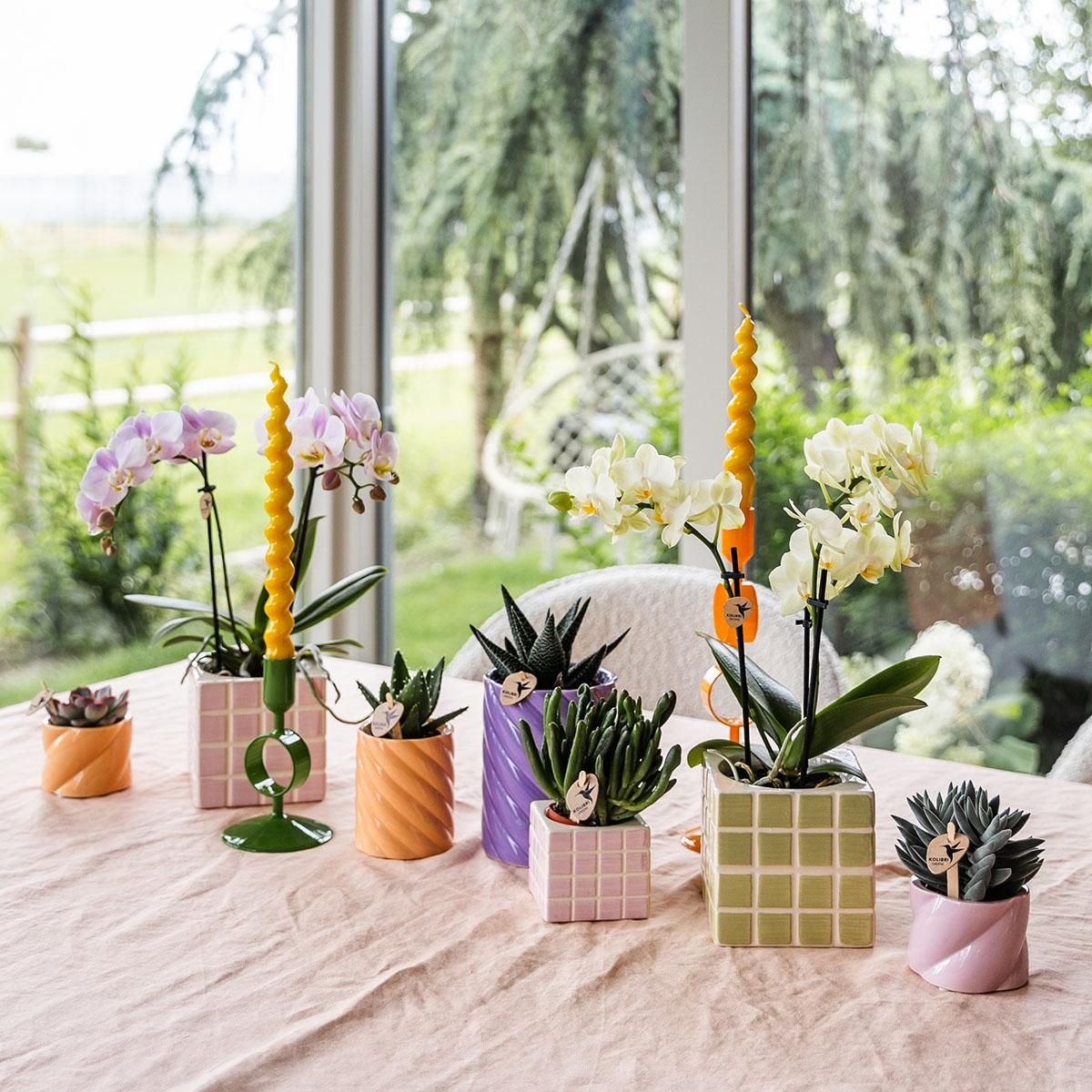 Ziertopf – Pink – Ø 9 cm