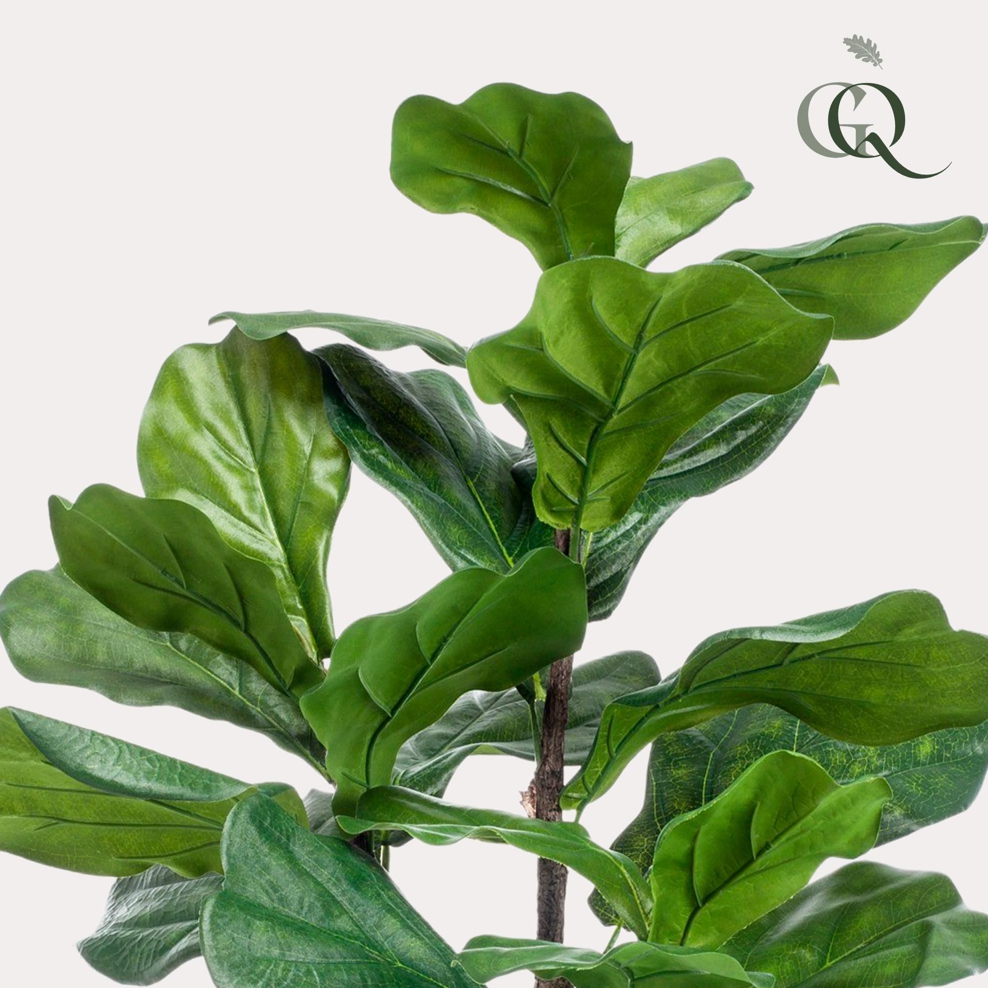 Kunstpflanze Ficus Lyrata Tabakspflanze