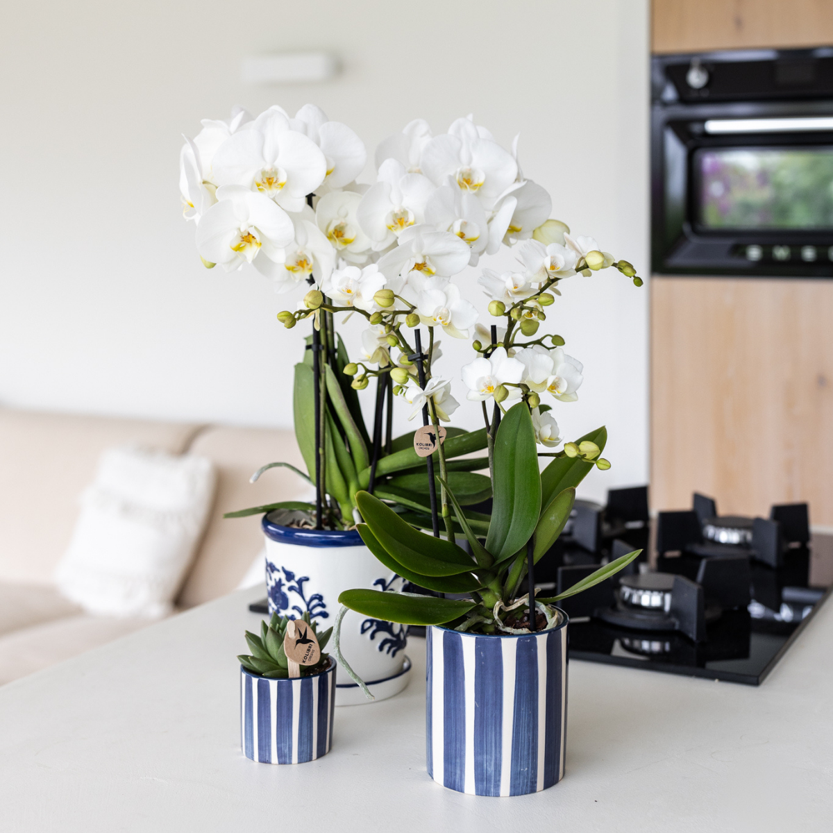 Kolibri Home | Blumentopf – Blau – Ø9cm