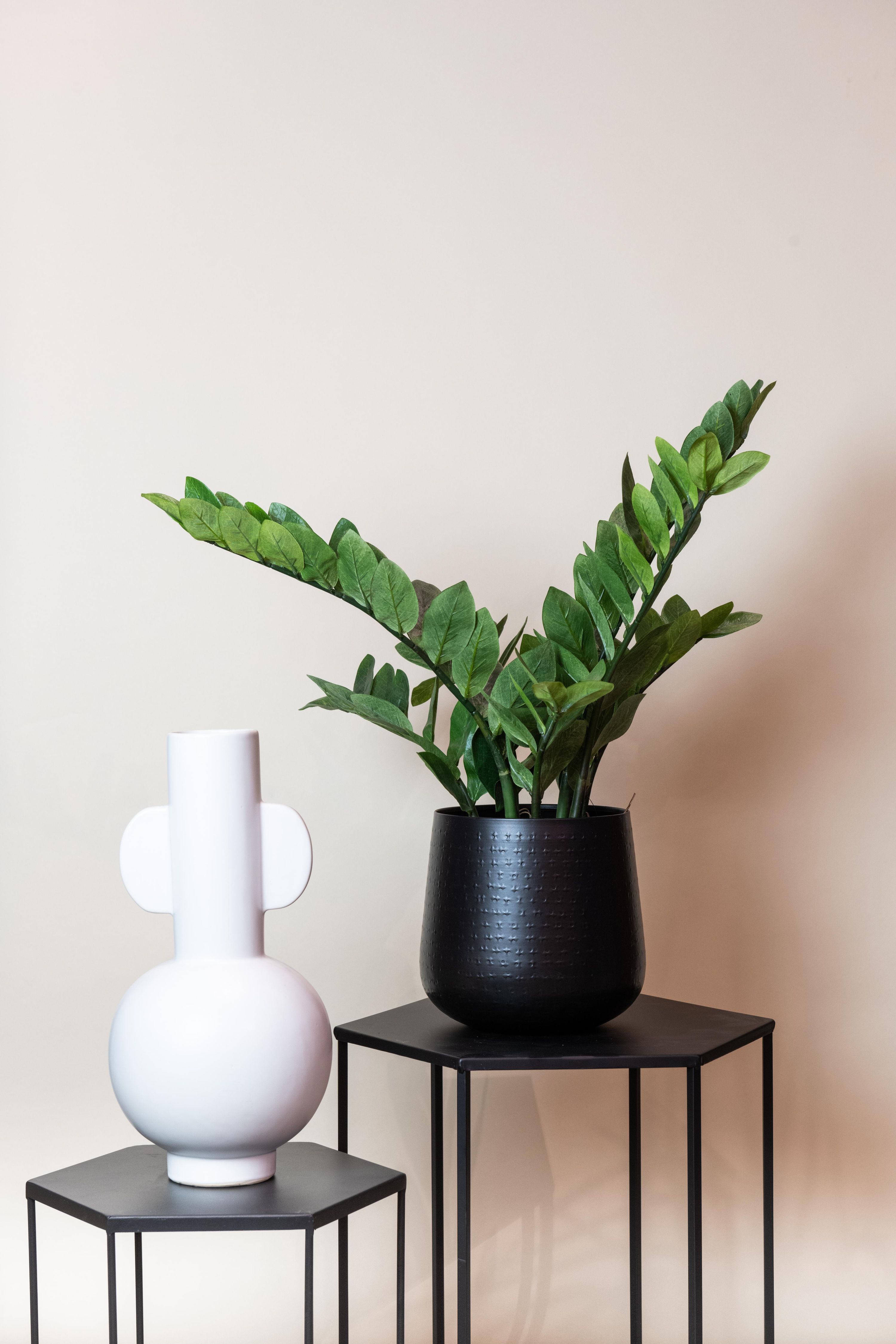 Kunstpflanze Zamioculcas Zimmerpalme 70 cm