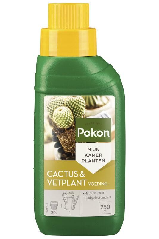 Kakteen-Pflanzenfutter