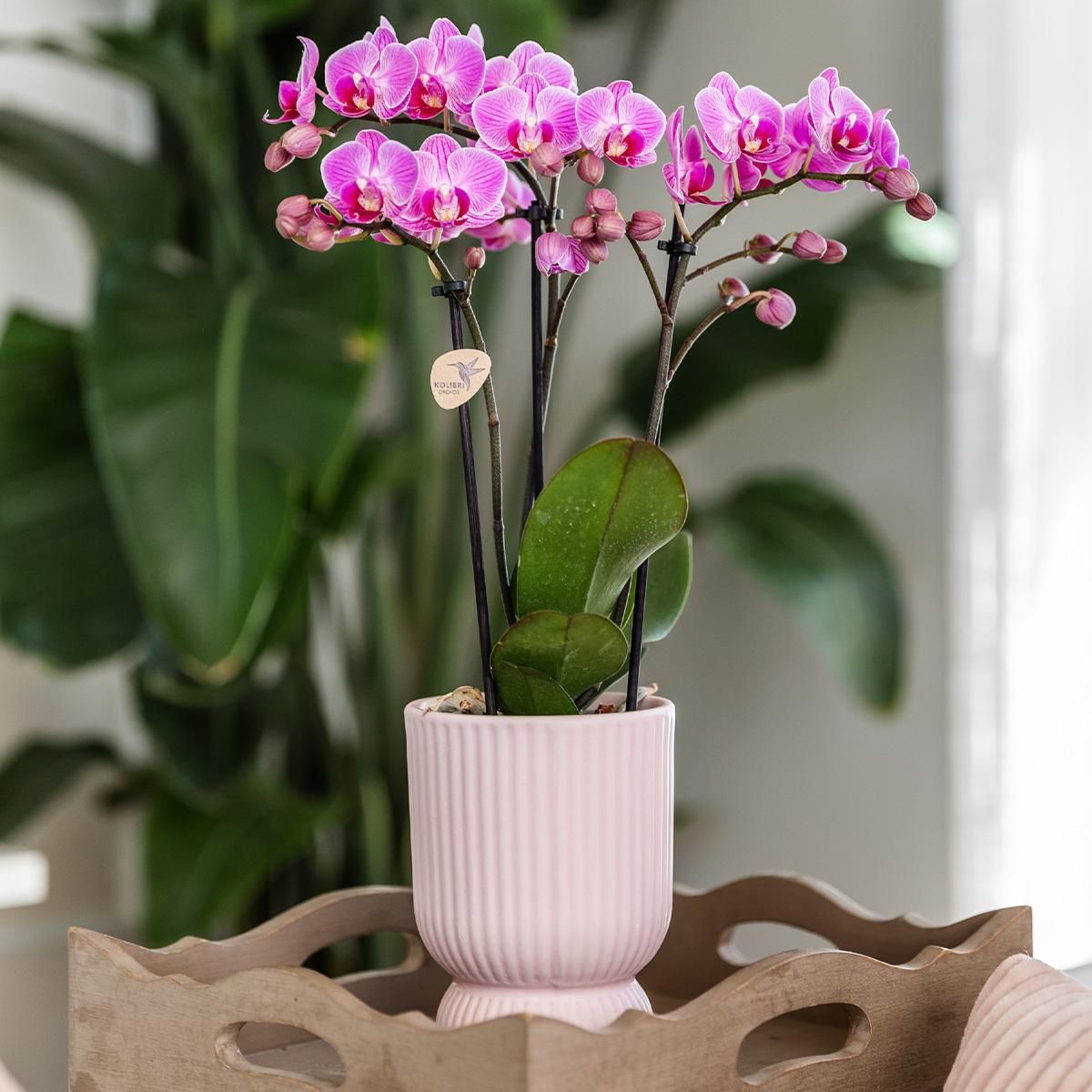 Diabolo Dekotopf Pink Ø9cm