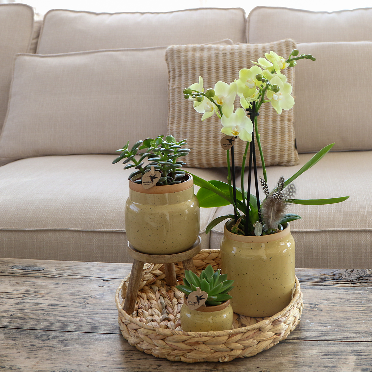 Vintage Blumentopf aus Keramik in Khaki