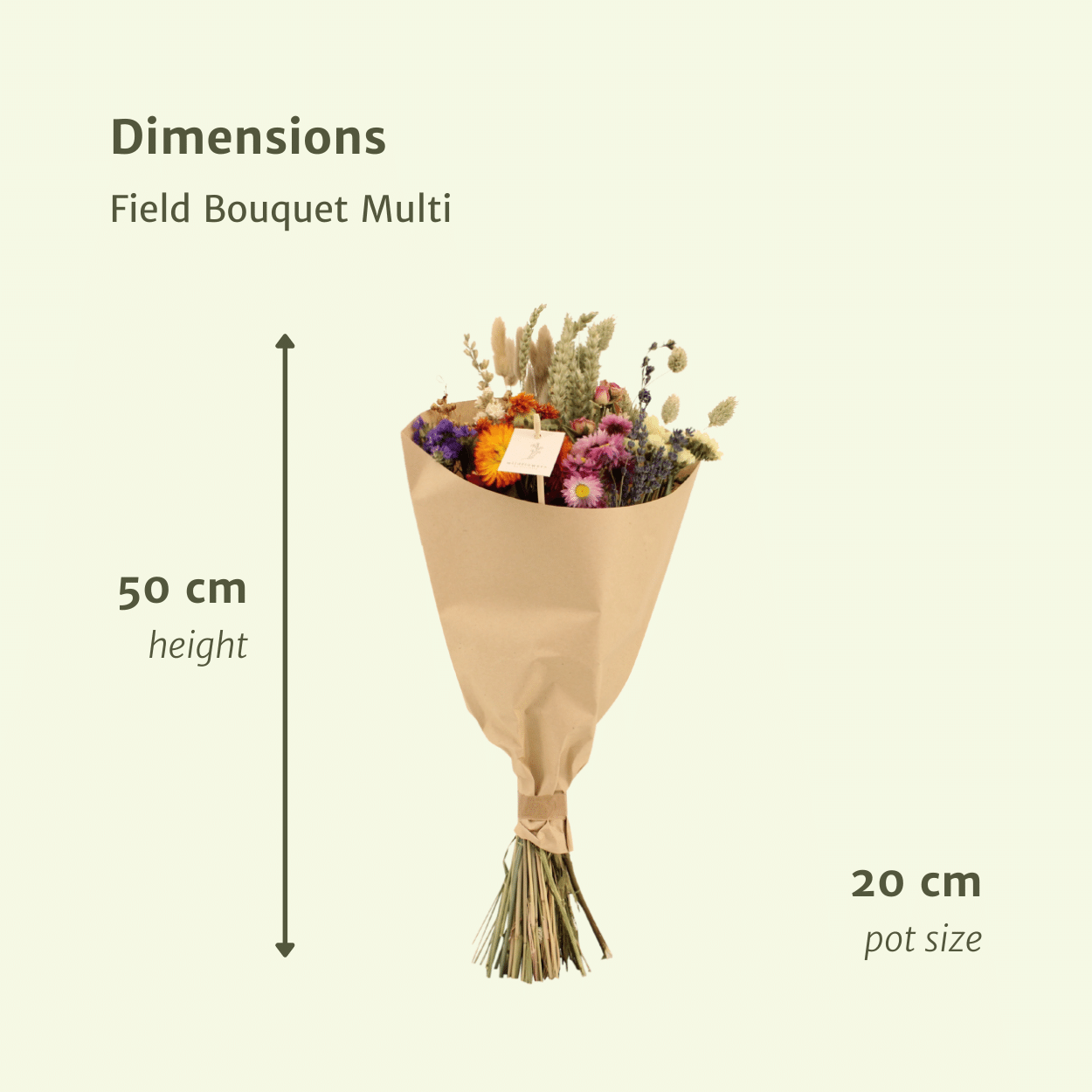 Trockenblumen Feldstrauß Multi – Ø20cm | ↕50cm Dekorativ