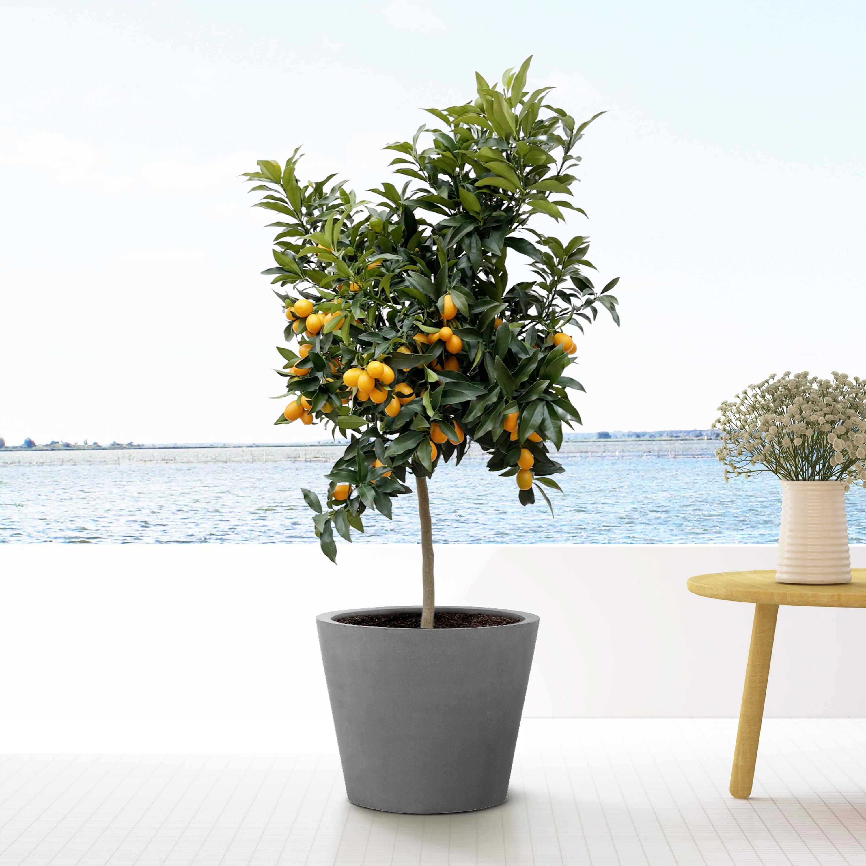Großer Blumentopf Grau L
