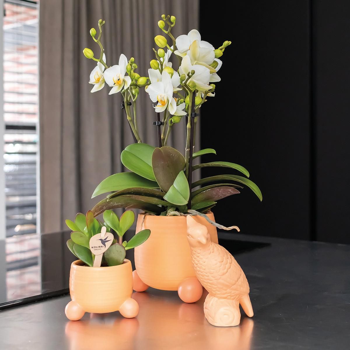 Keramik Blumentopf Rolling Pfirsich Ø6cm