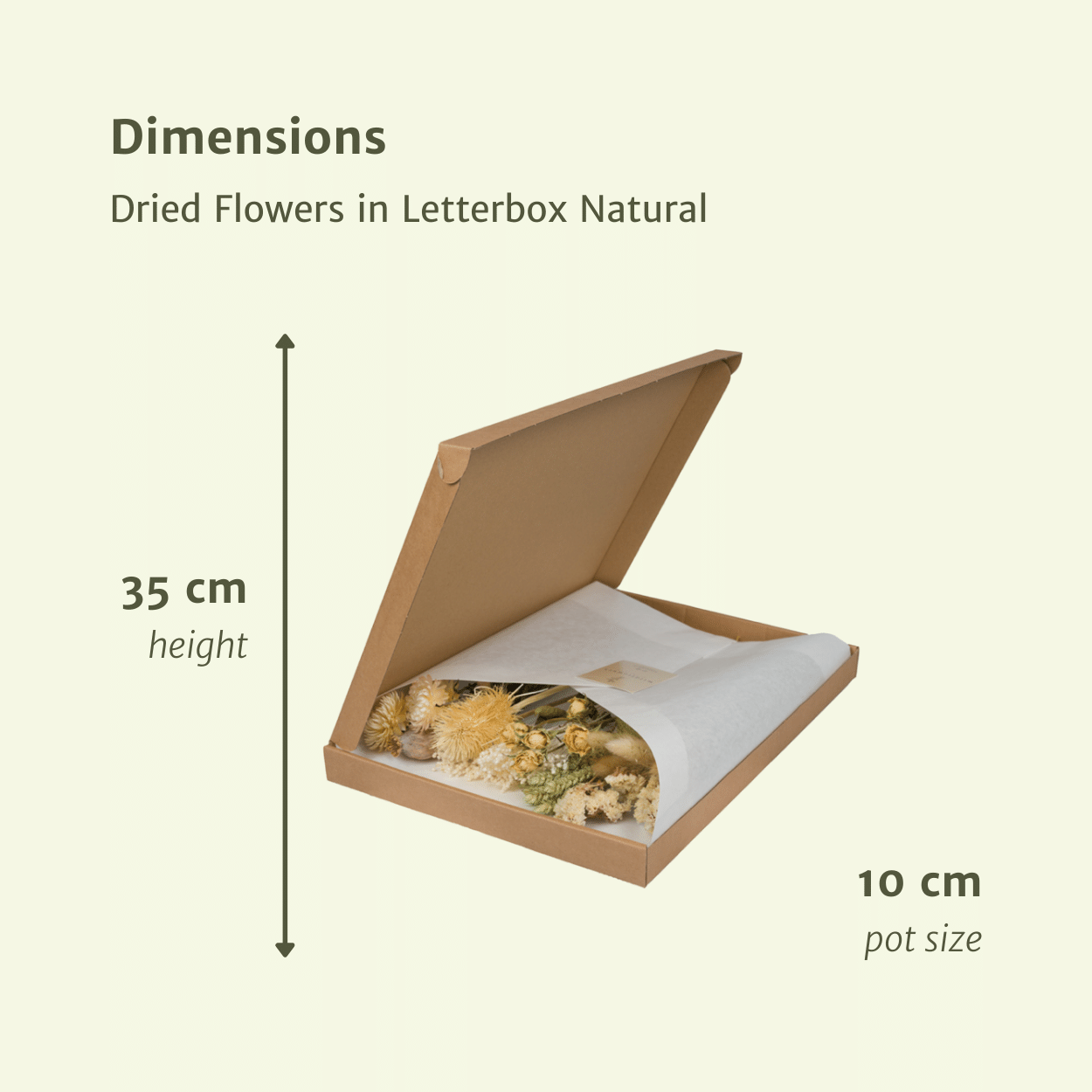 Elegante Trockenblumen im Letterbox-Set Natural