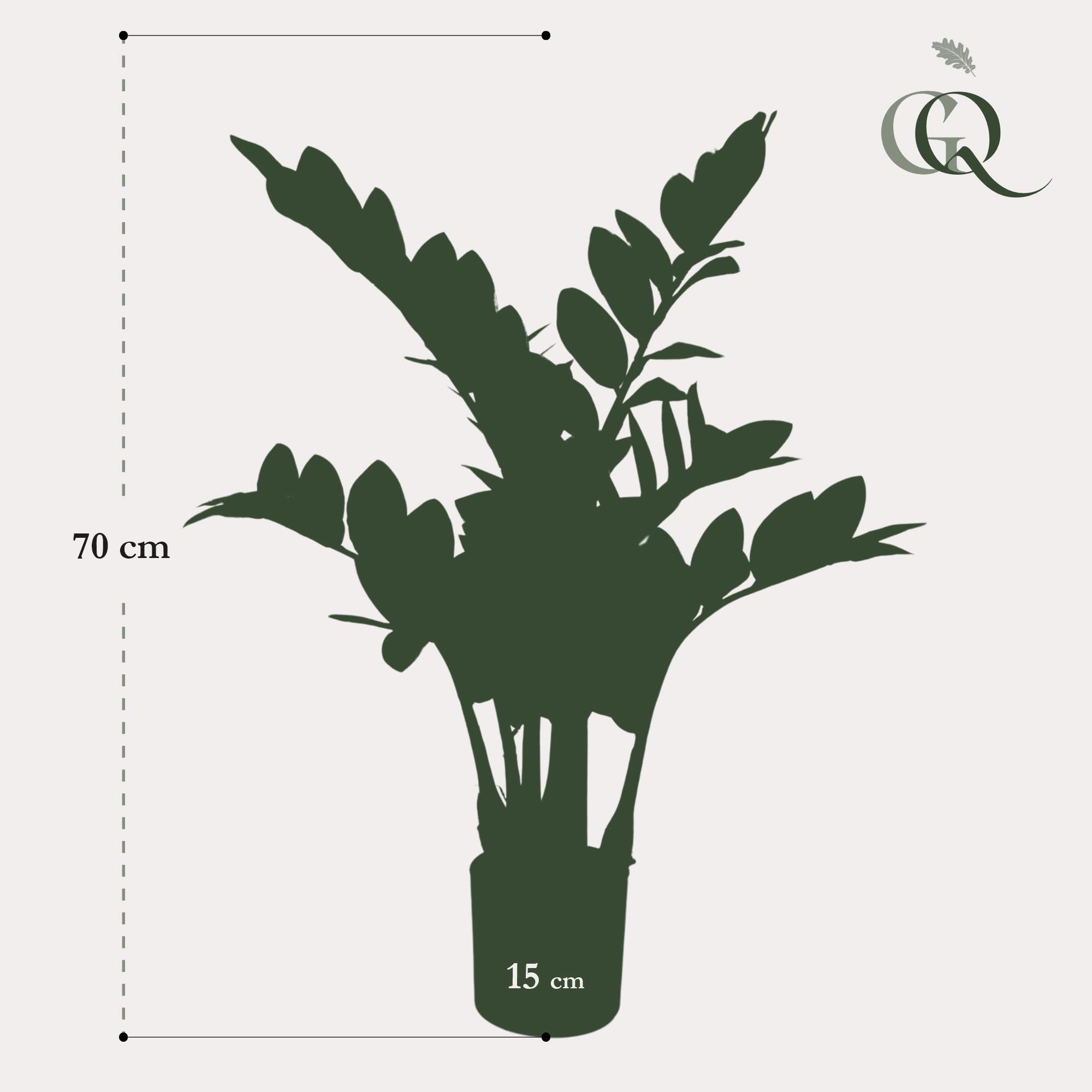 Kunstpflanze Zamioculcas Zimmerpalme 70 cm