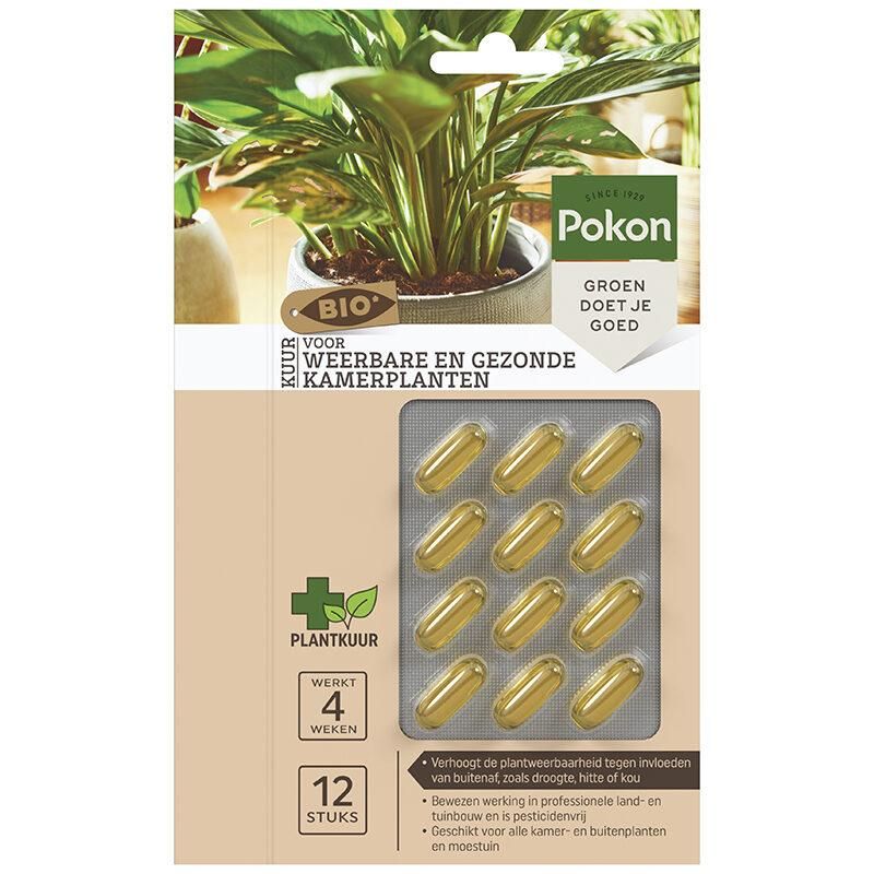 Bio Kapseln für gesunde Zimmerpflanzen